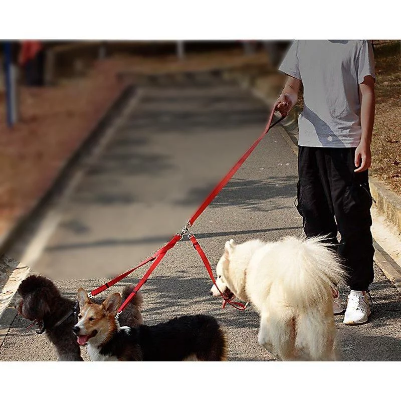 Gespout 3 in 1 Durable Nylon Dog Leash with Padded Handle, Three- Way Pet Leash with a Coupler, Adjustable and Detachable, Gray 1PCS