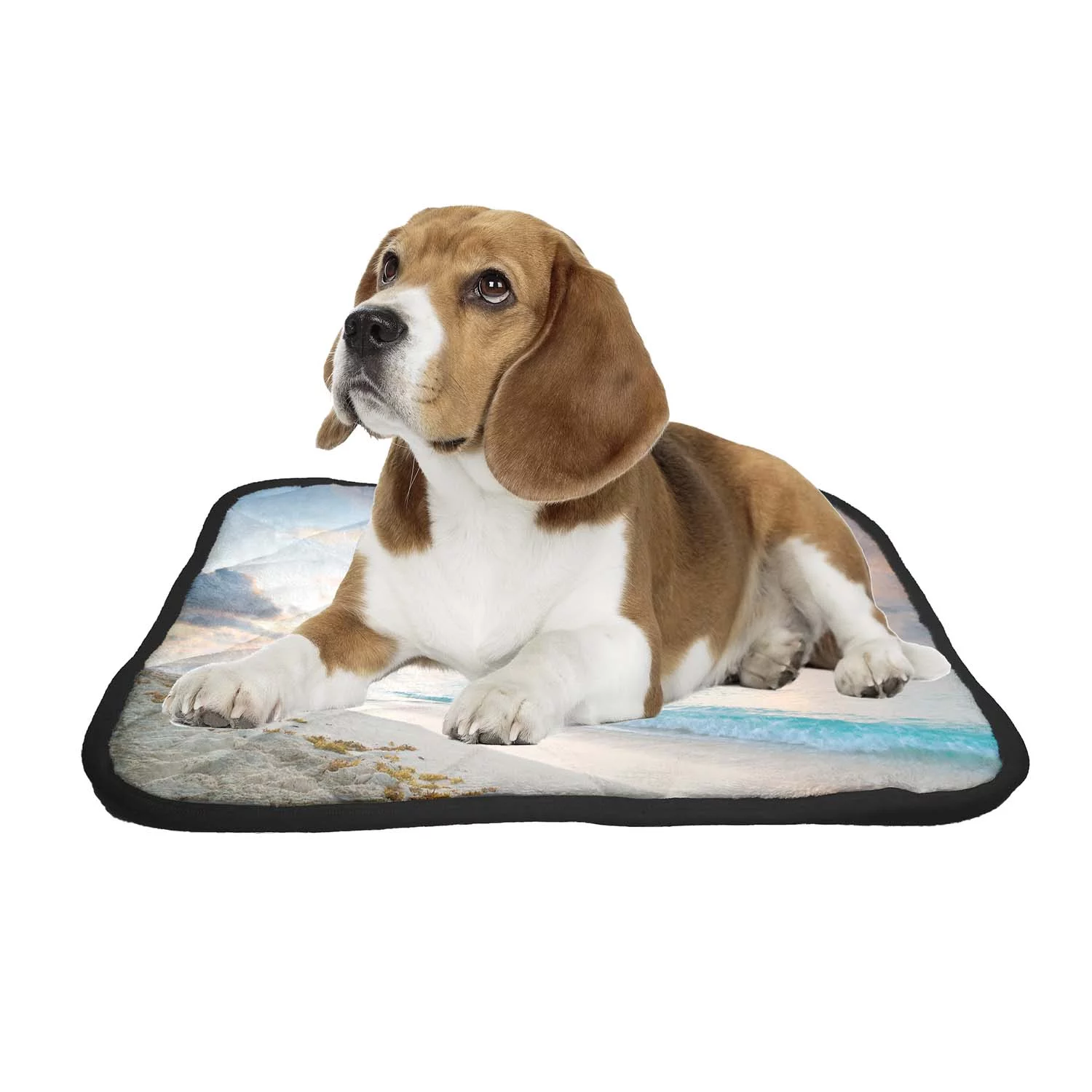 PKQWTM Caribbean beach in Playacar of Mexico Pet Dog Cat Bed Pee Pads Mat Cushion Potty Dogs Blankets Crate Bed Kennel 25x30 inch