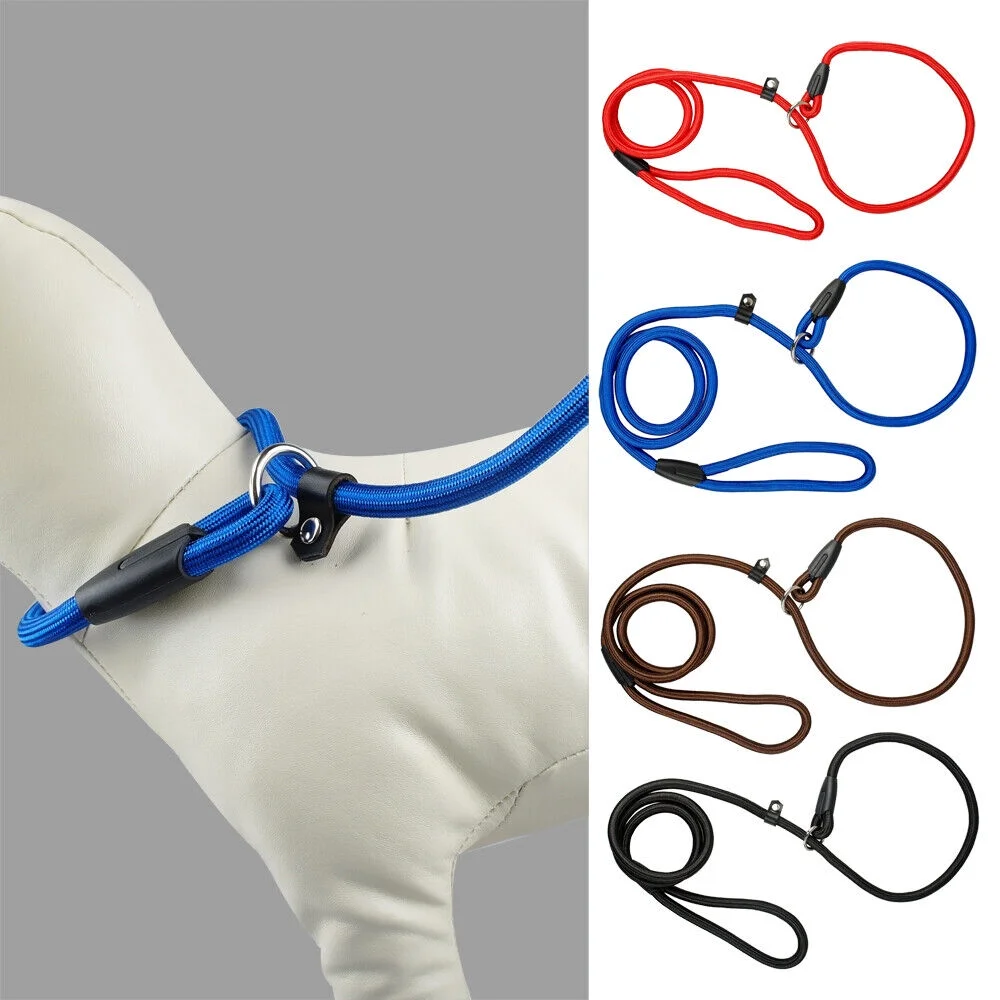 5ft Slip Lead Dog Leash Nylon Rolled Rope Pet Collar Obedience Recall Training