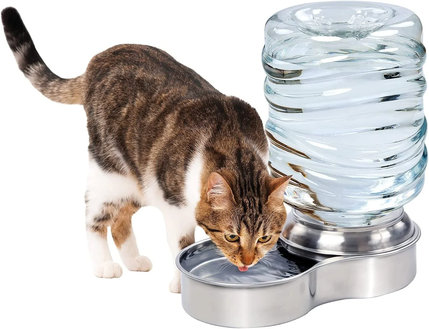 ETNA Products Dog and Cat Water Fountain, Stainless Steel, 1 Gallon