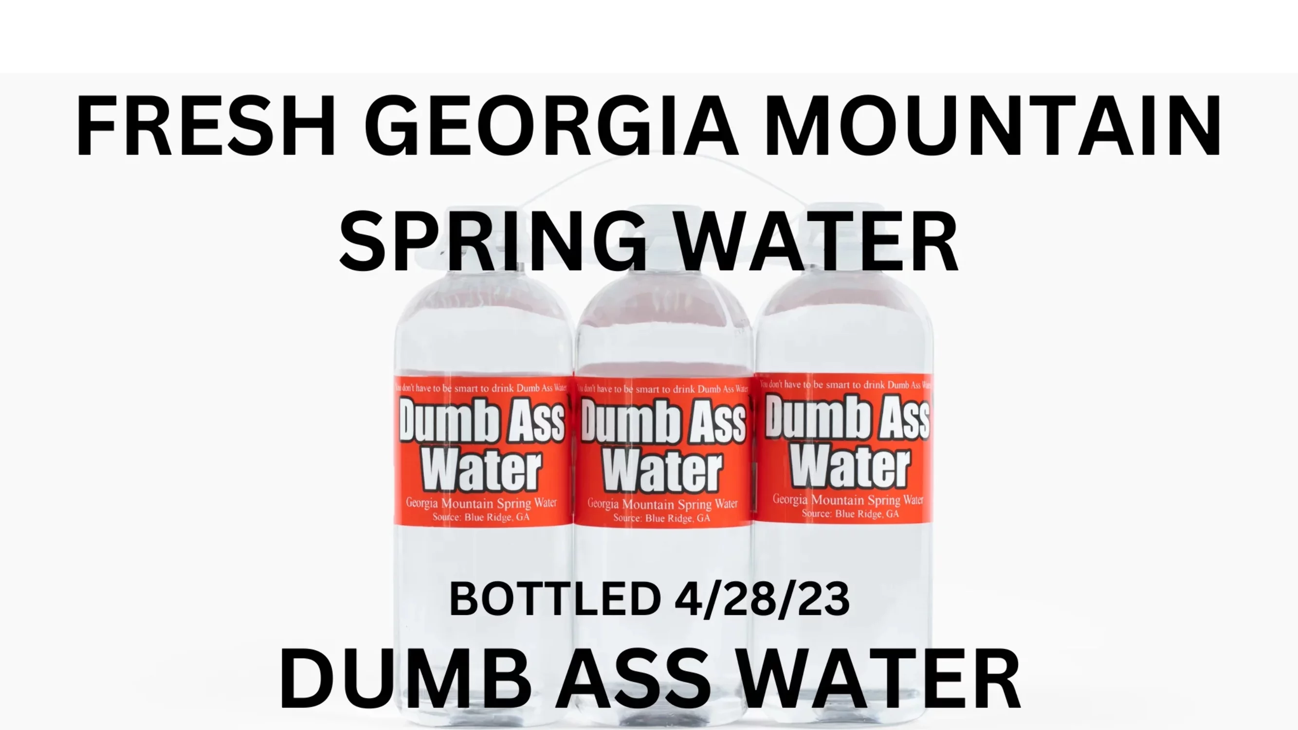 DUMB ASS WATER 24 Pack