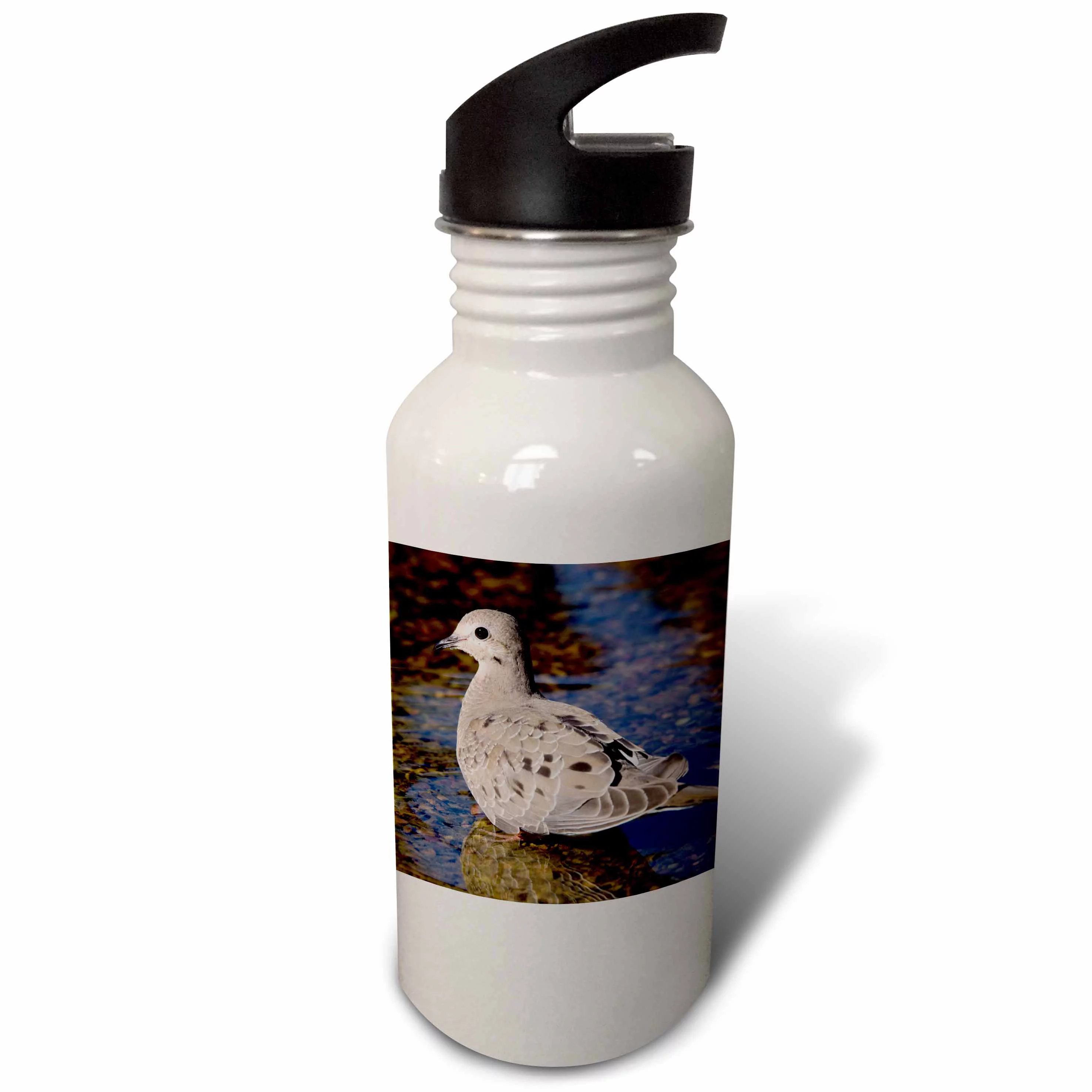 Mourning Dove, bird, Rio Grande Valley, Texas - NA02 RNU0195 - Rolf Nussbaumer 21 oz Sports Water Bottle wb-84309-1