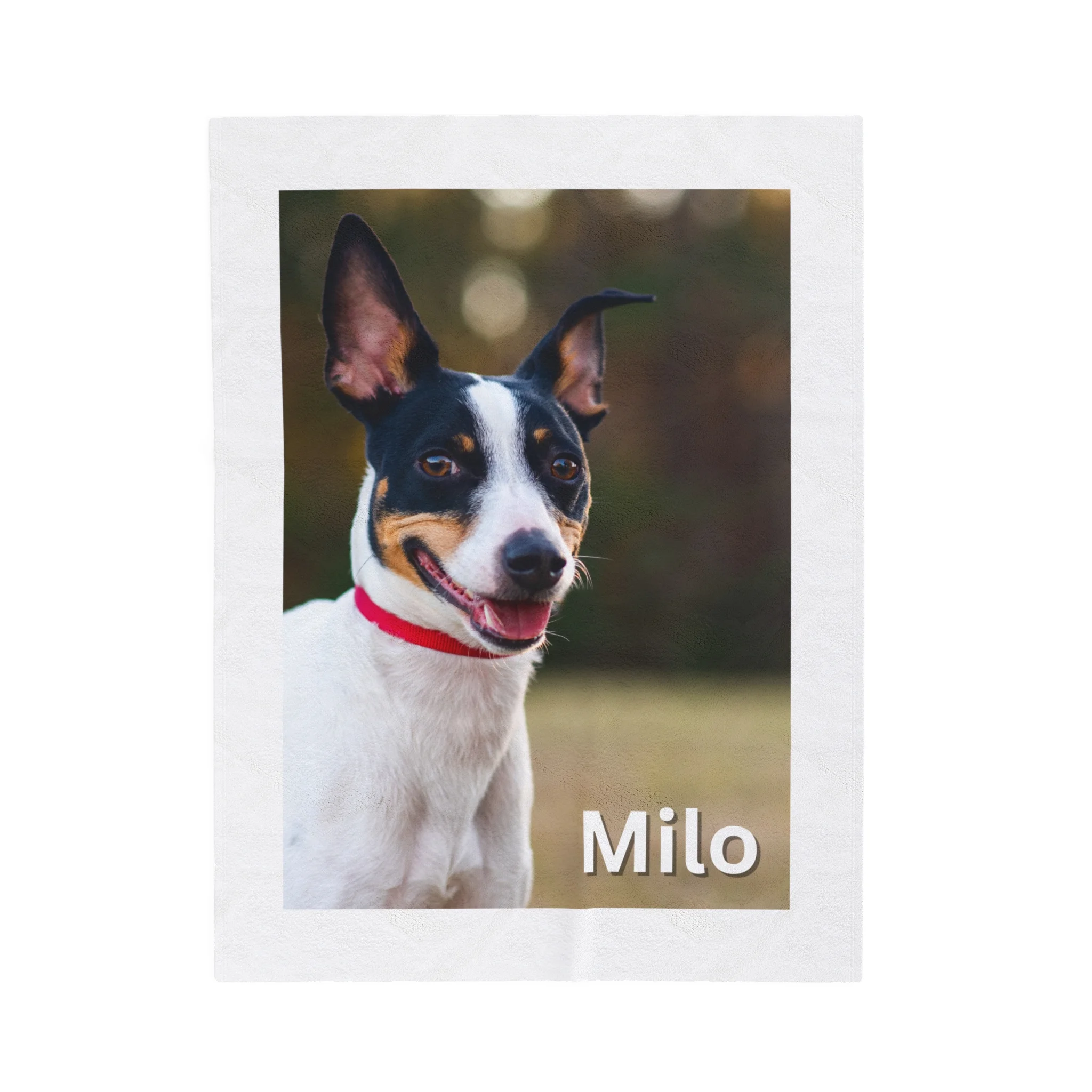 Rat Terrier Custom Photo Blanket Personalized Dog Gift 30x40 50x60 60x80
