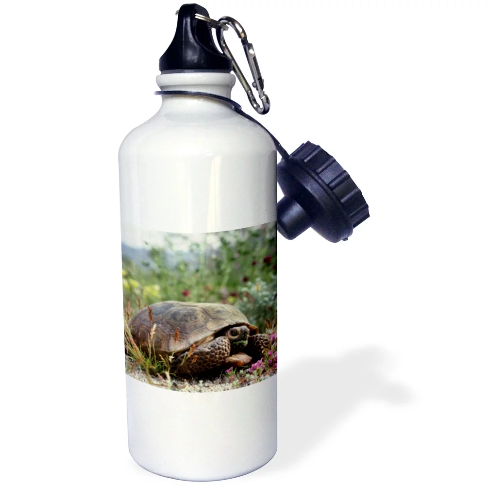 3dRose USA, California, Joshua Tree National Park, Desert Tortoise - Water Bottle, 21-ounce