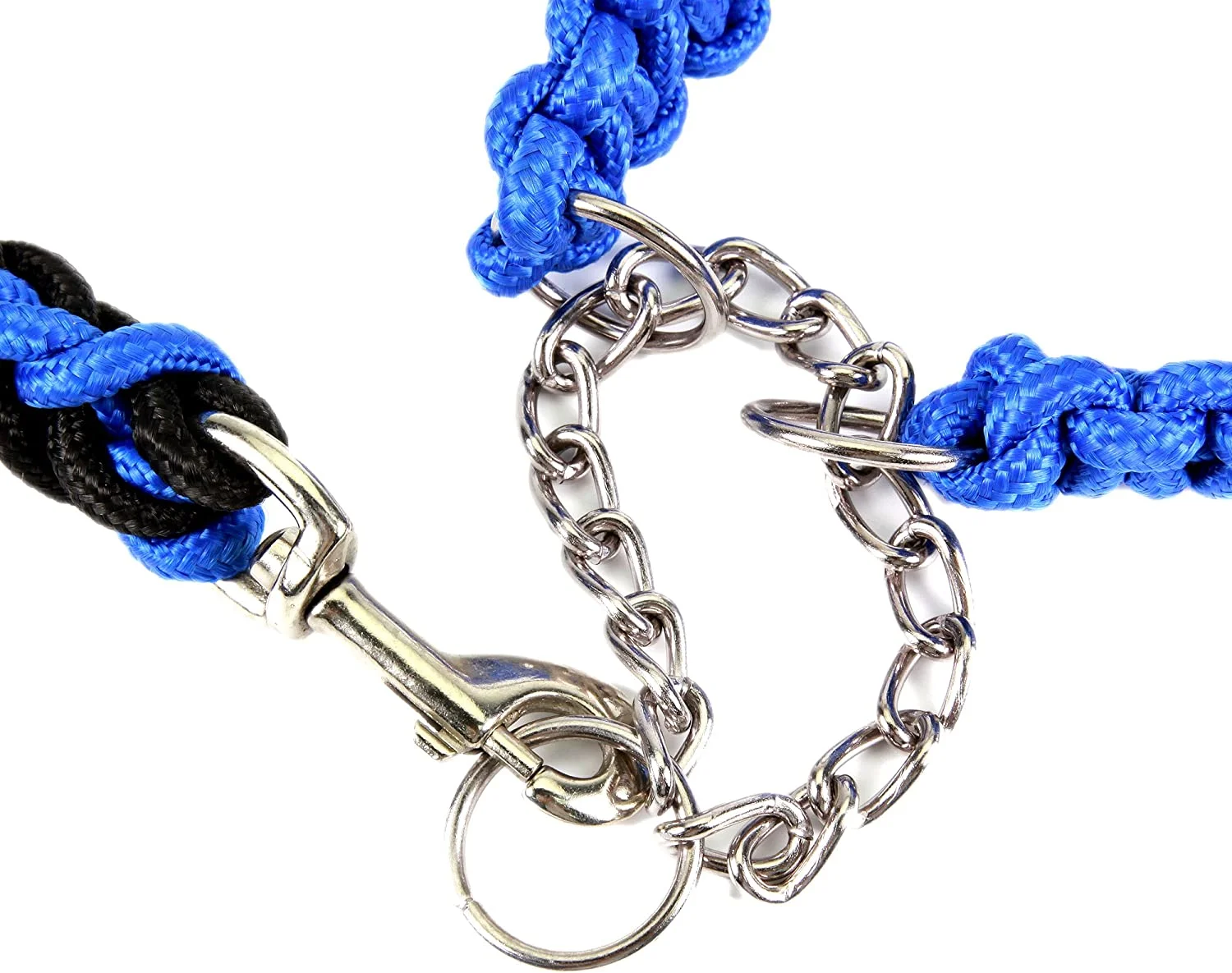 Nvzi ColorPet Martingale Slip Lead Collar Bear Fruit Dog Leash for Medium and Large Dogs, Medium, Black Blue