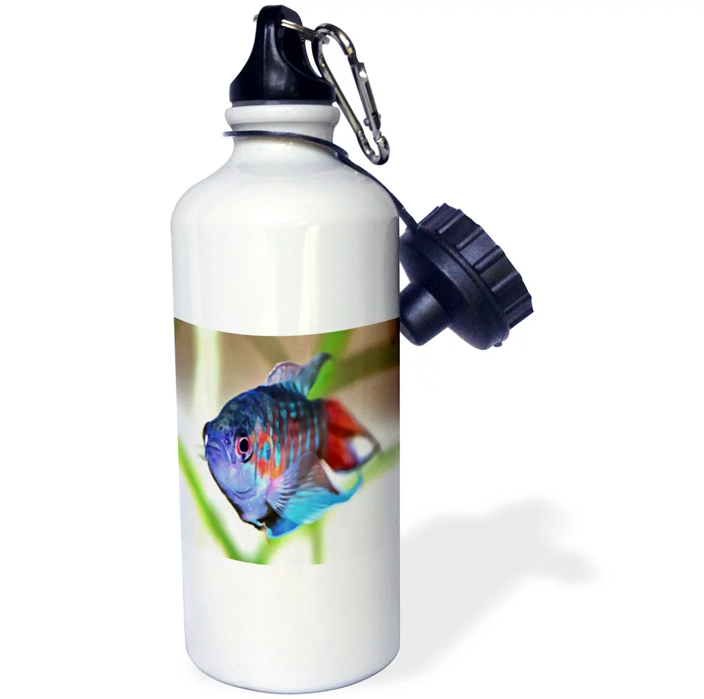 3dRose Macropodus opercularis – Paradise Fish - Straw Water Bottle, 21-ounce