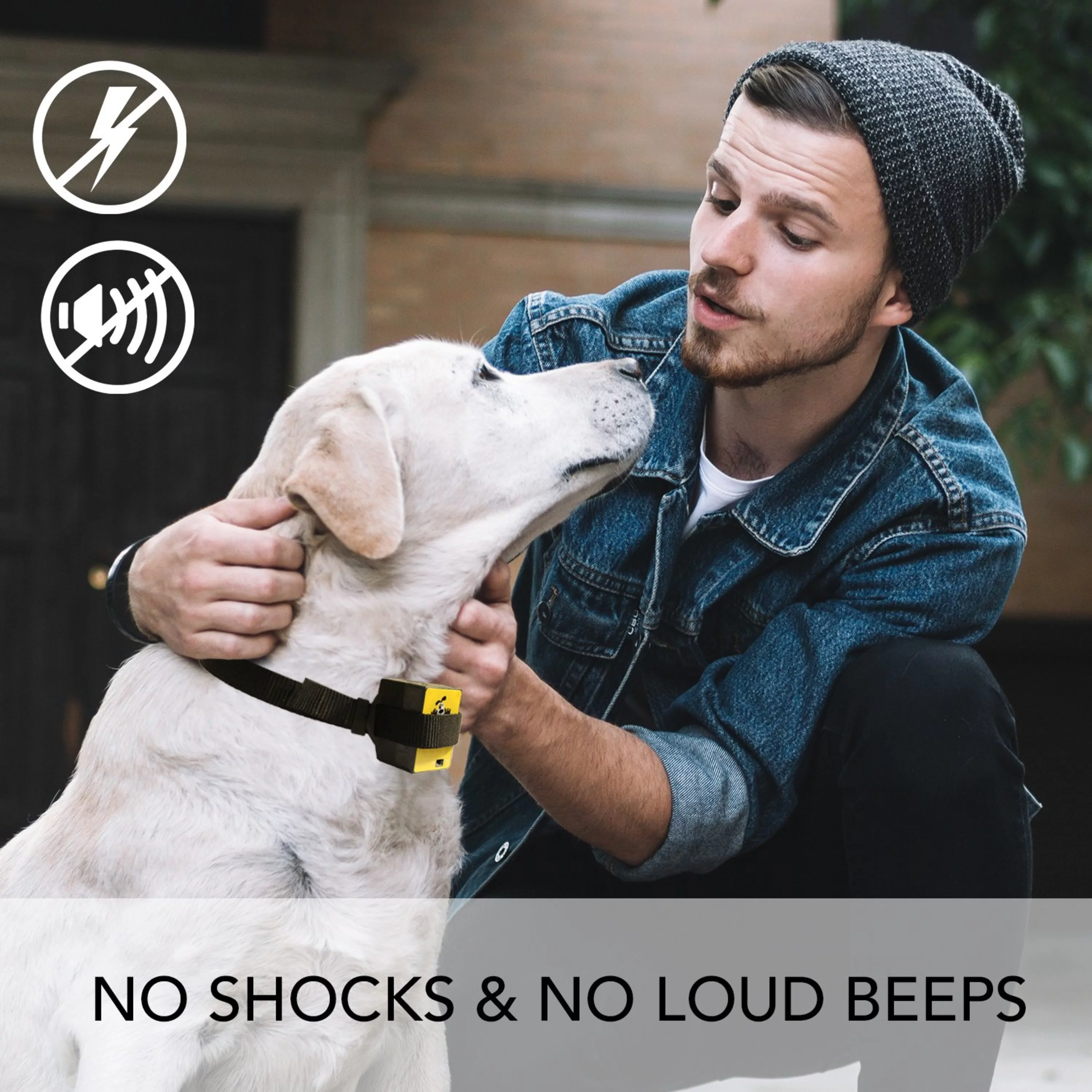 Downtown Pet Supply Citronella Bark Collar, Adjustable Dog Training Collar 1 Pack