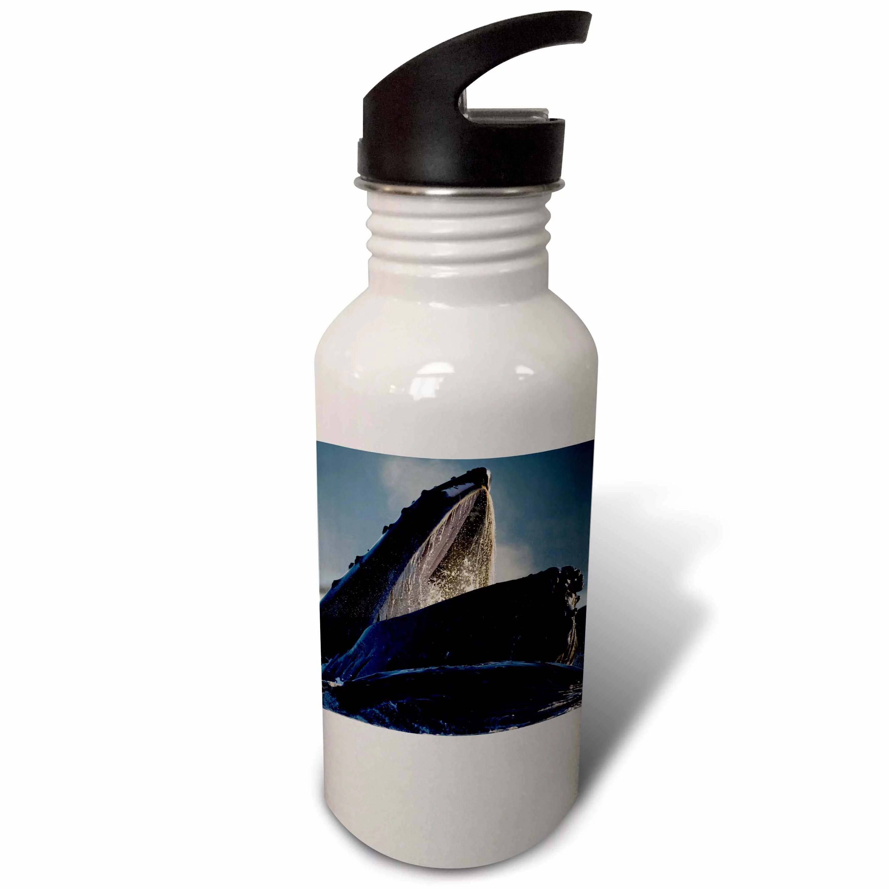 Alaska, Hoonah, Humpback Whales in Icy Strait - US02 PSO0728 - Paul Souders 21 oz Sports Water Bottle wb-87638-1