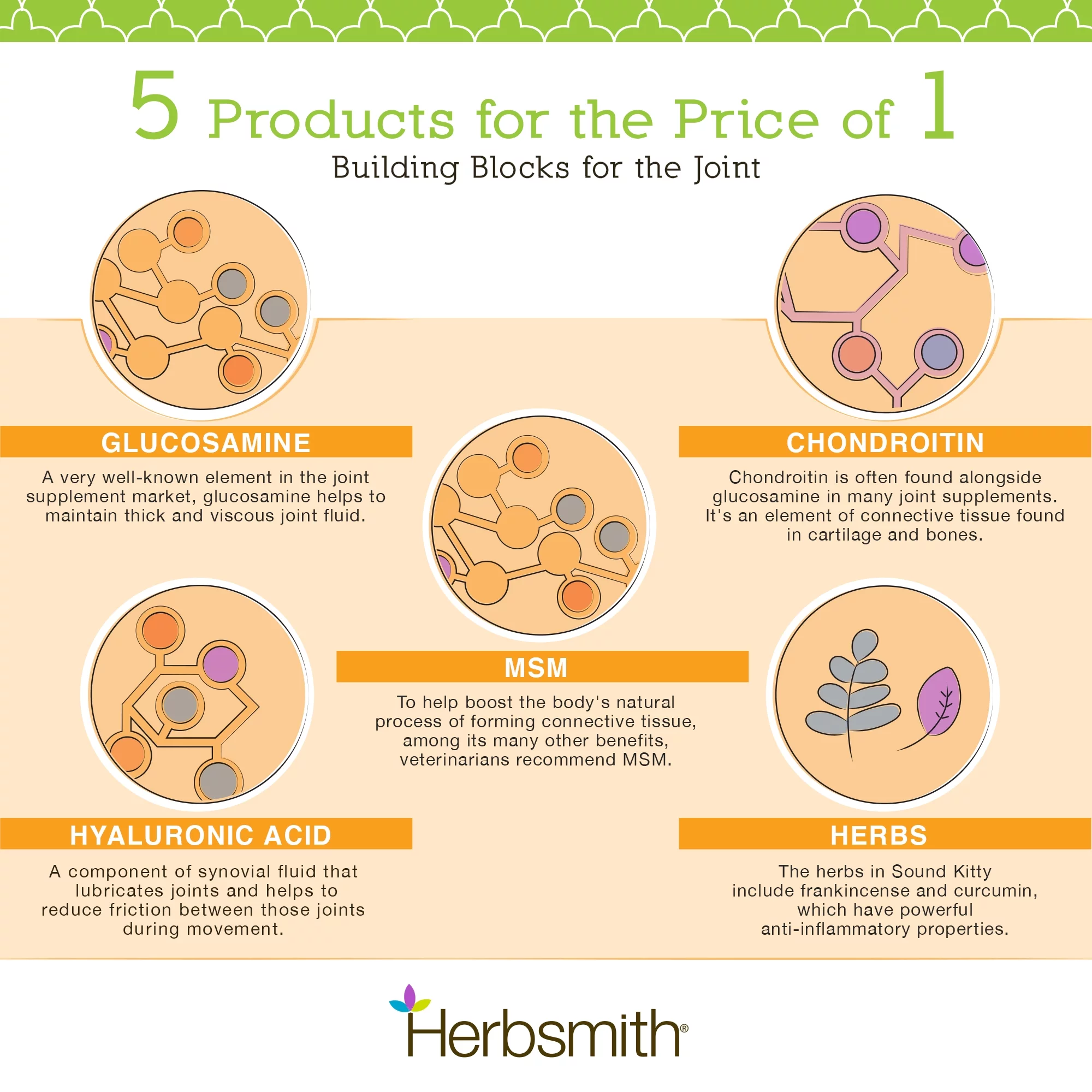 Herbsmith Sound Kitty – 5-in-1 Joint Care for Cats with Chondroitin, Glucosamine & MSM- Natural Joint Pain Relief for Cats – 75g