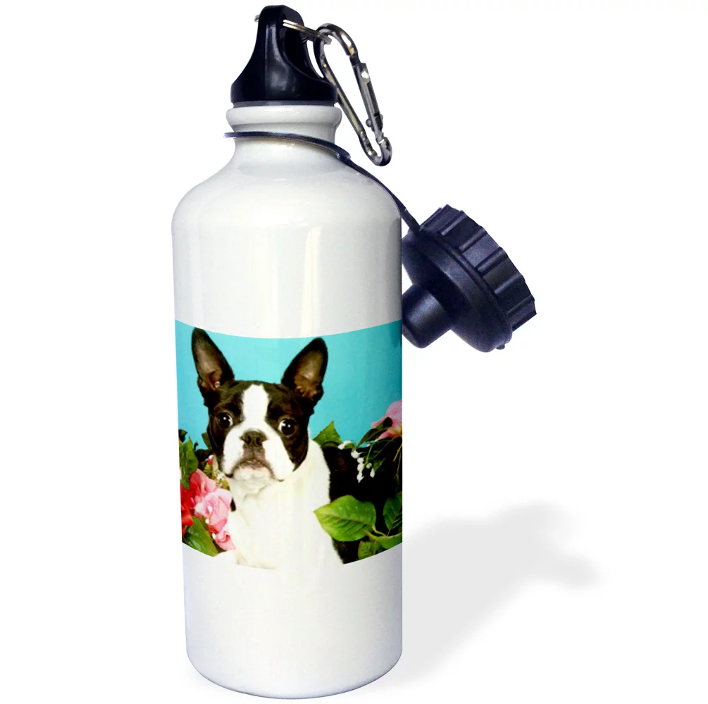 3dRose Emma Boston Terrier - Straw Water Bottle, 21-ounce