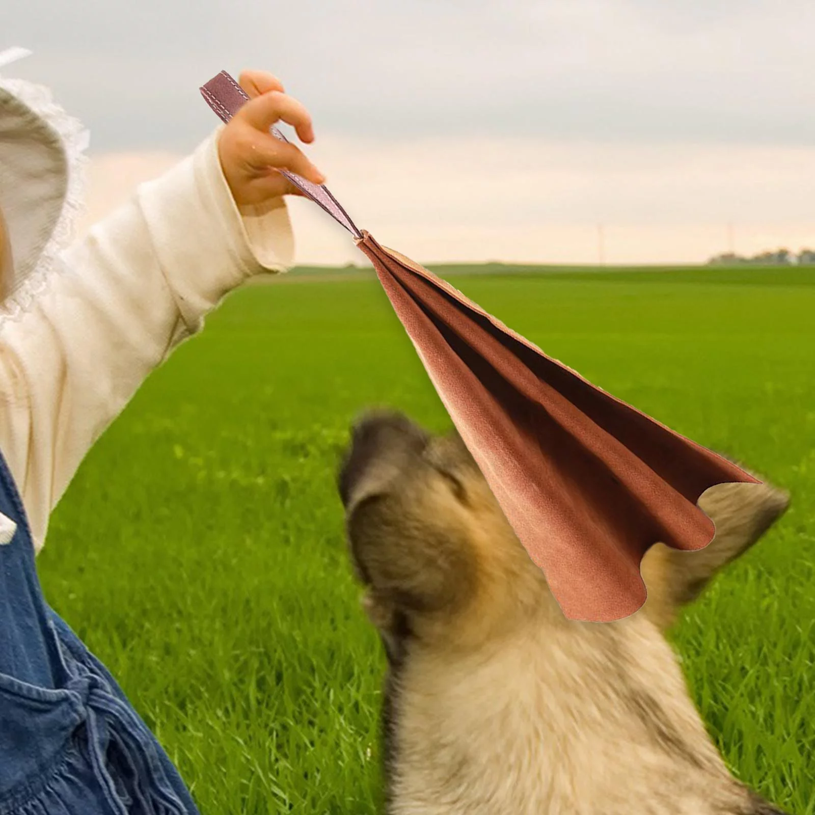 Dog Tug Bite Leather Rag Cloth Chewing Toy Puppy Training Interactive Play