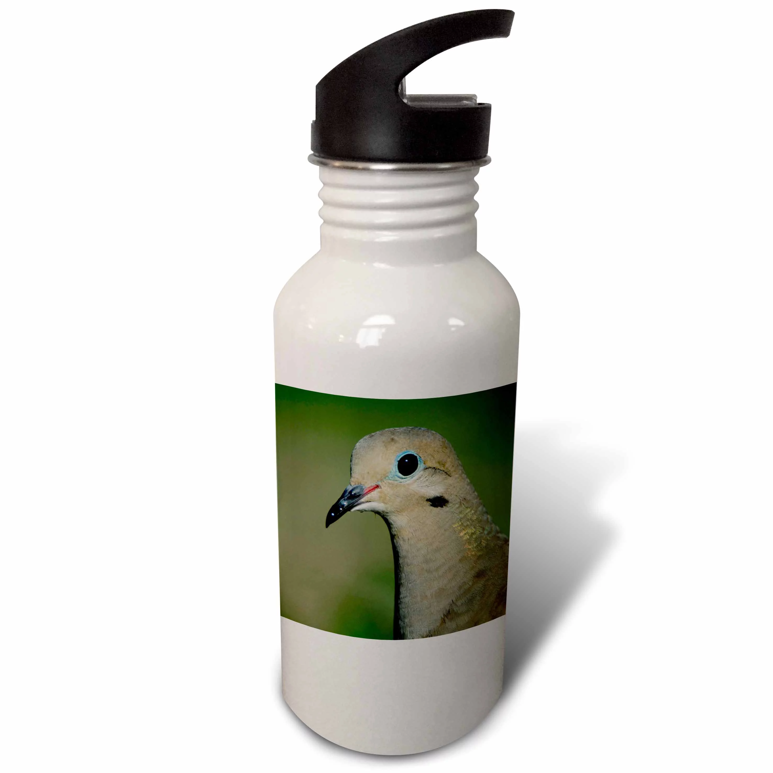 Mourning Dove, bird, Rio Grande Valley, Texas - NA02 RNU0194 - Rolf Nussbaumer 21 oz Sports Water Bottle wb-84308-1