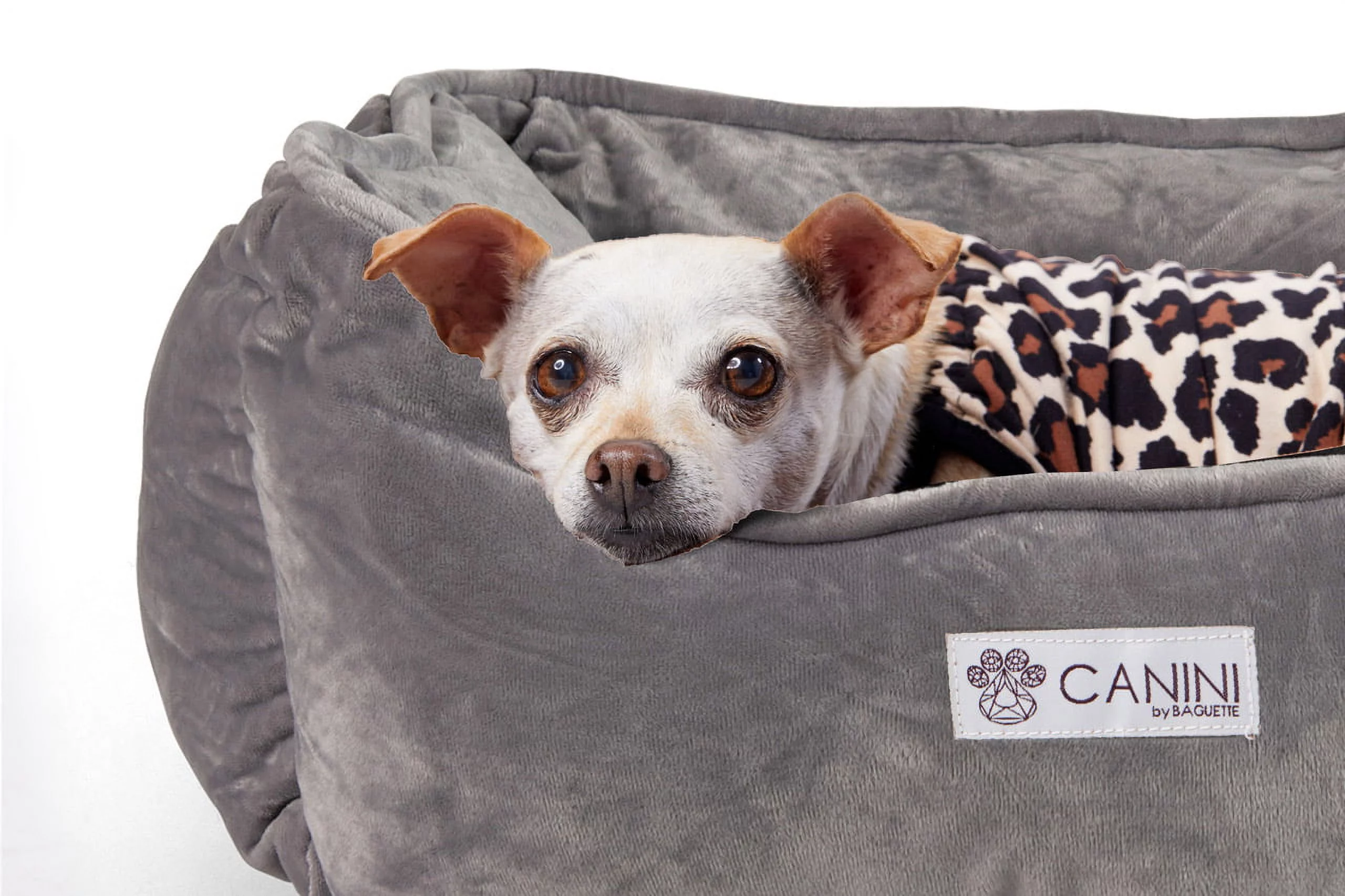CANINI by Baguette Reversible Micro-Plush Dog Bed for Small-Sized Breeds, Light Gray
