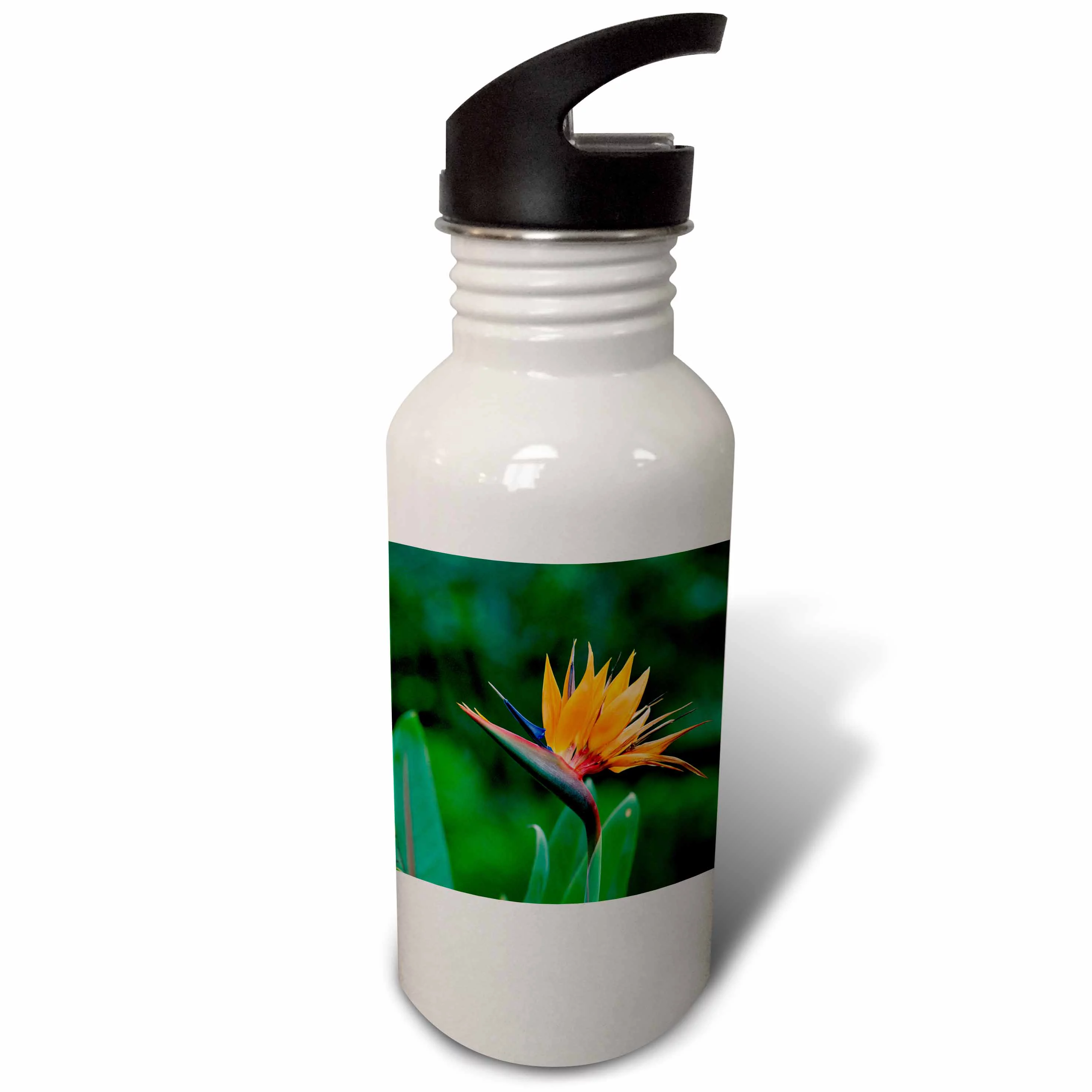 Bird of Paradise flower, Hawaii - NA02 DPB0003 - Douglas Peebles 21 oz Sports Water Bottle wb-84063-1