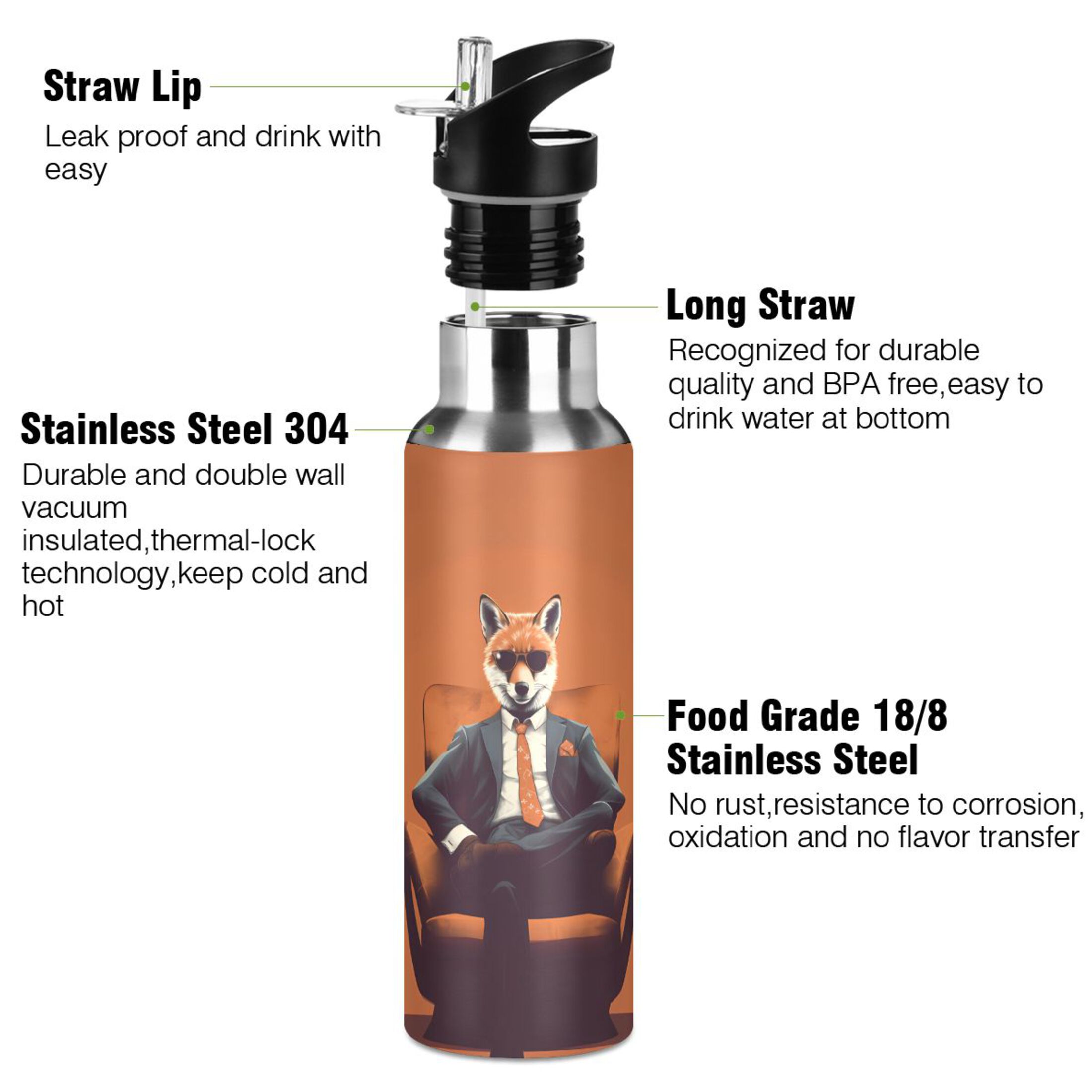 Cool Fox on Sofa Water Bottles Insulated Thermos Kids Stainless Steel Bottle with Straw Lid Flask Leakproof for Sports Gym 20 oz