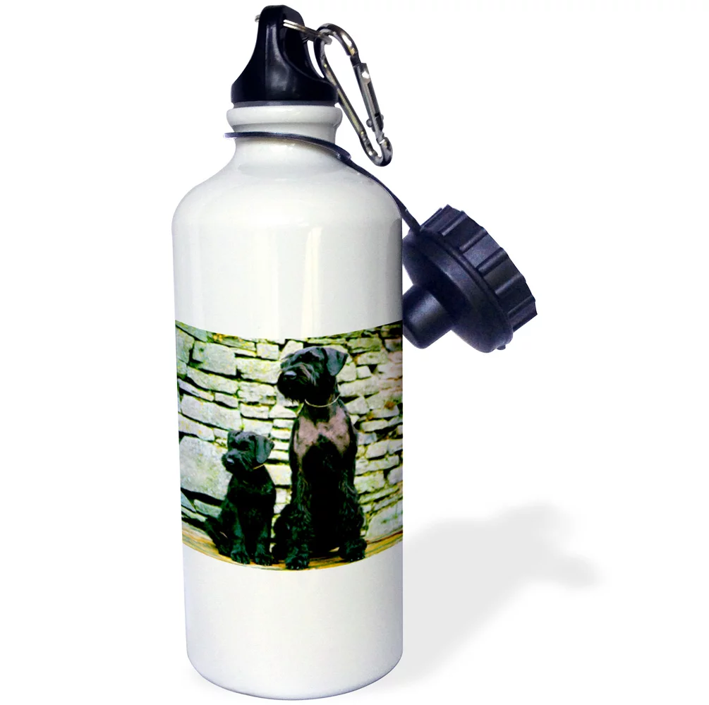 3dRose Giant Schnauzer, Sports Water Bottle, 21oz