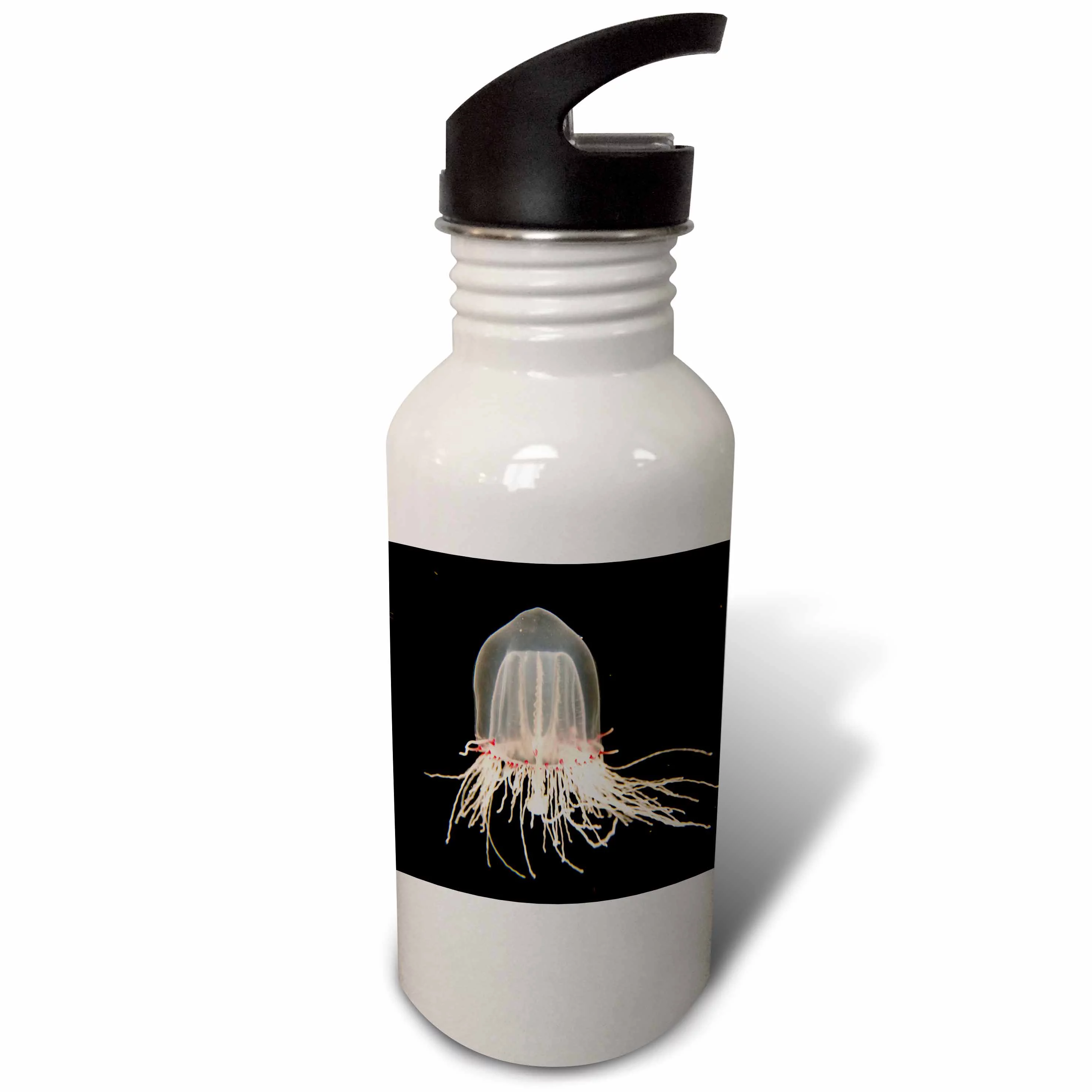 Giant bell Jelly, Monterey Bay Aquarium, California - US05 JGS0136 - Jim Goldstein 21 oz Sports Water Bottle wb-88457-1