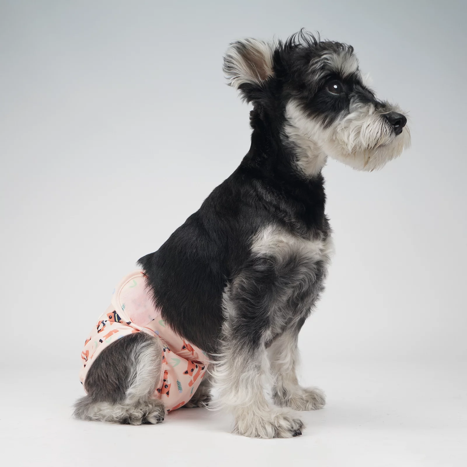 InnoPet Female Dog diapers (3 Pack), Ideal Dog Diaper for All Breads of Dogs, Reusable, Washable and Durable, Soft and ventilate materials with Absorbent Pads, Applicable to Any Occasions.