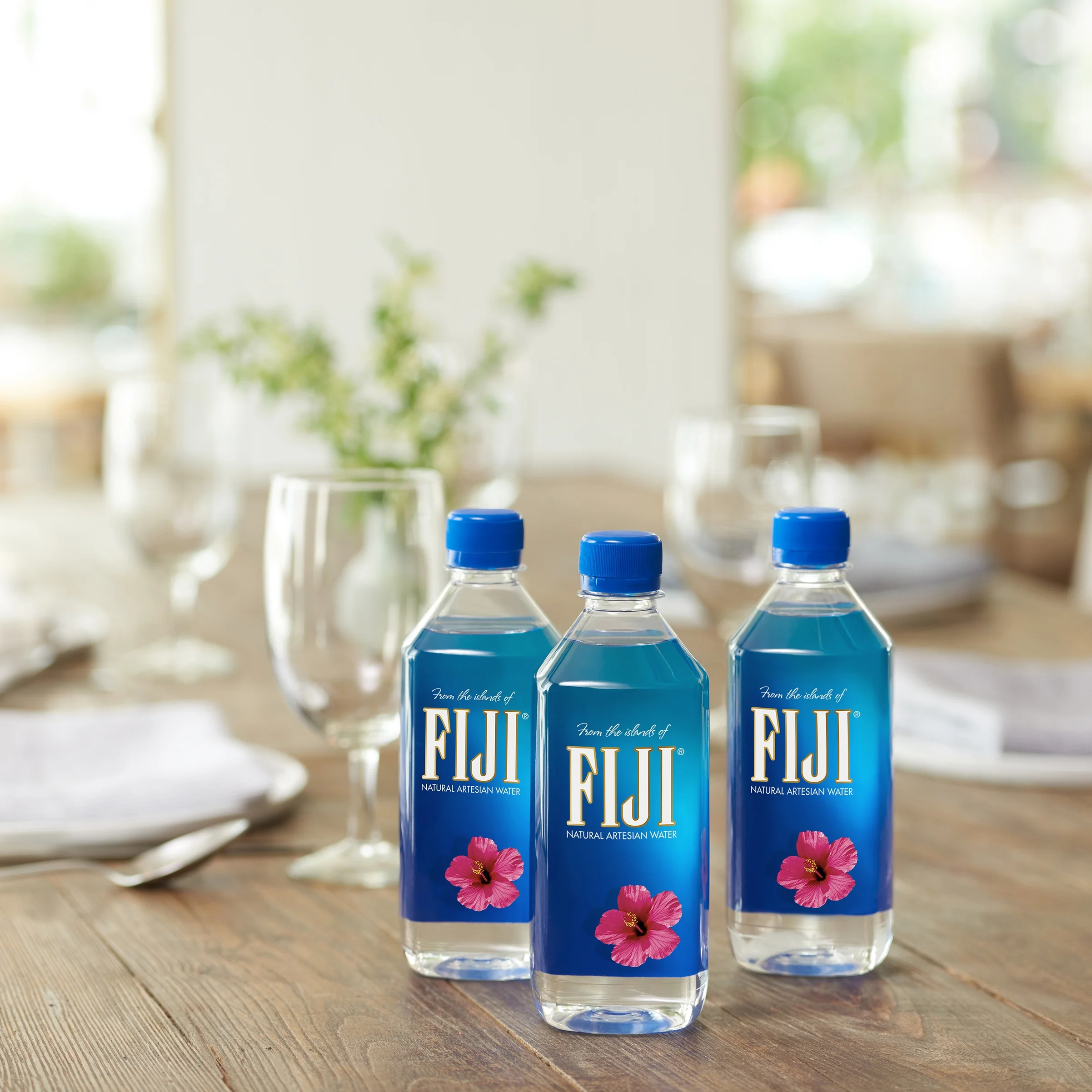FIJI Natural Artesian Water,16.9 Fl Oz, 24 Ct