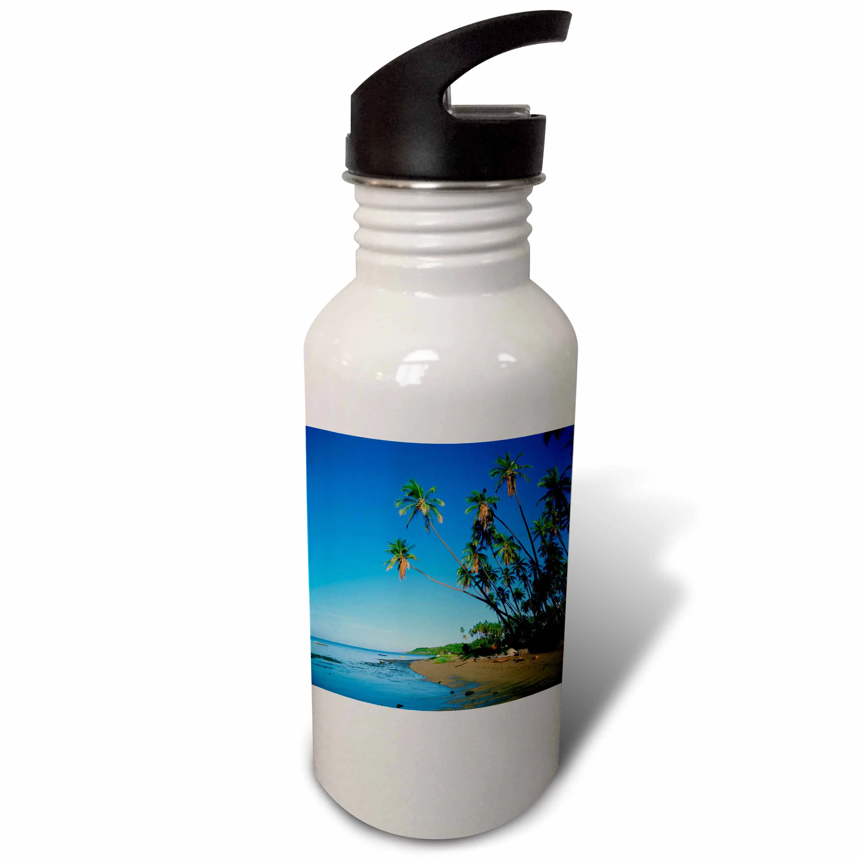 Kapuaiwa Coconut Grove, Molokai, Hawaii, USA - US12 DPB0335 - Douglas Peebles 21 oz Sports Water Bottle wb-89584-1