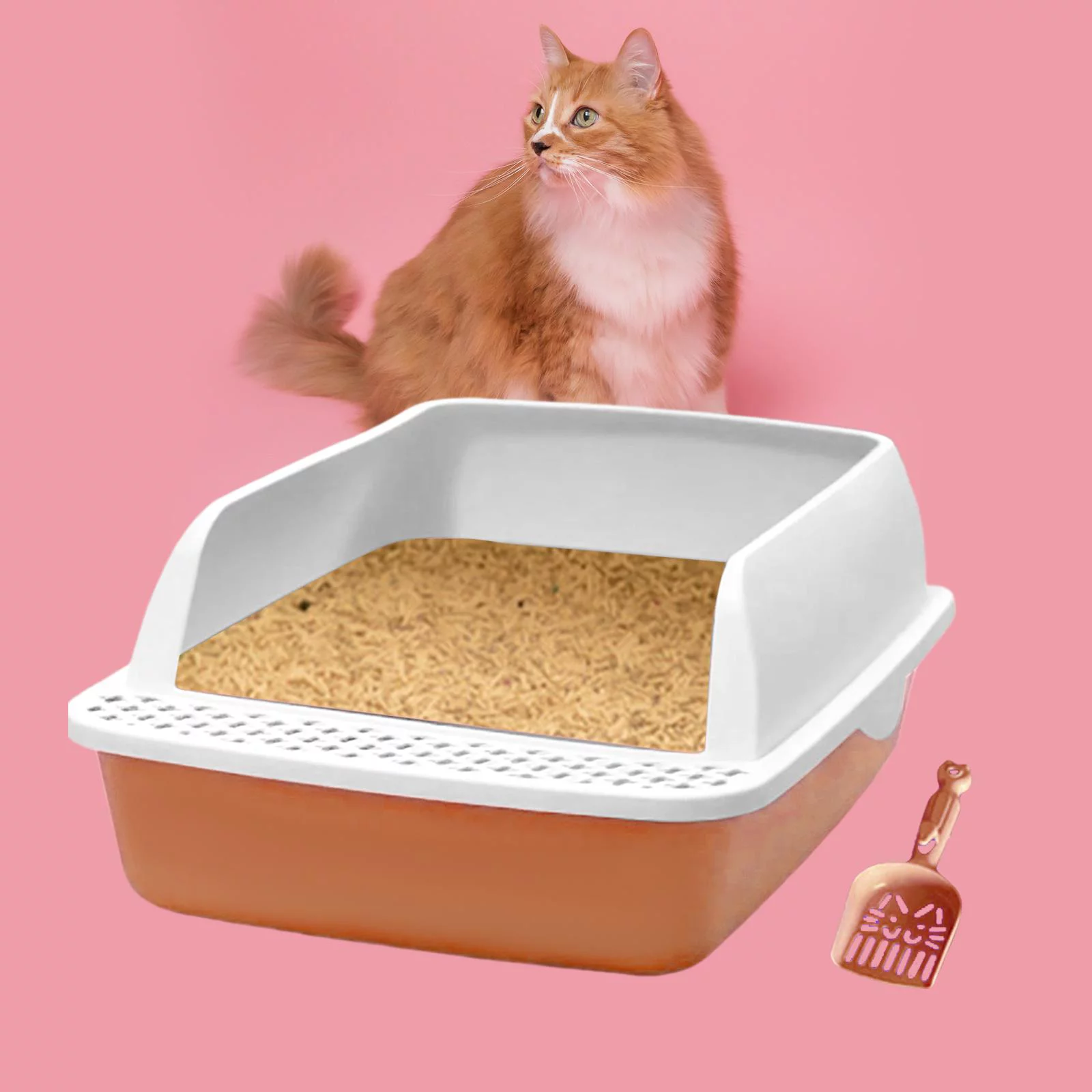 Cat with Litter Sifting Prevent Leakage High Sided Easy to Clean Heightening Splashing Removable Kitty Litter Tray Pink