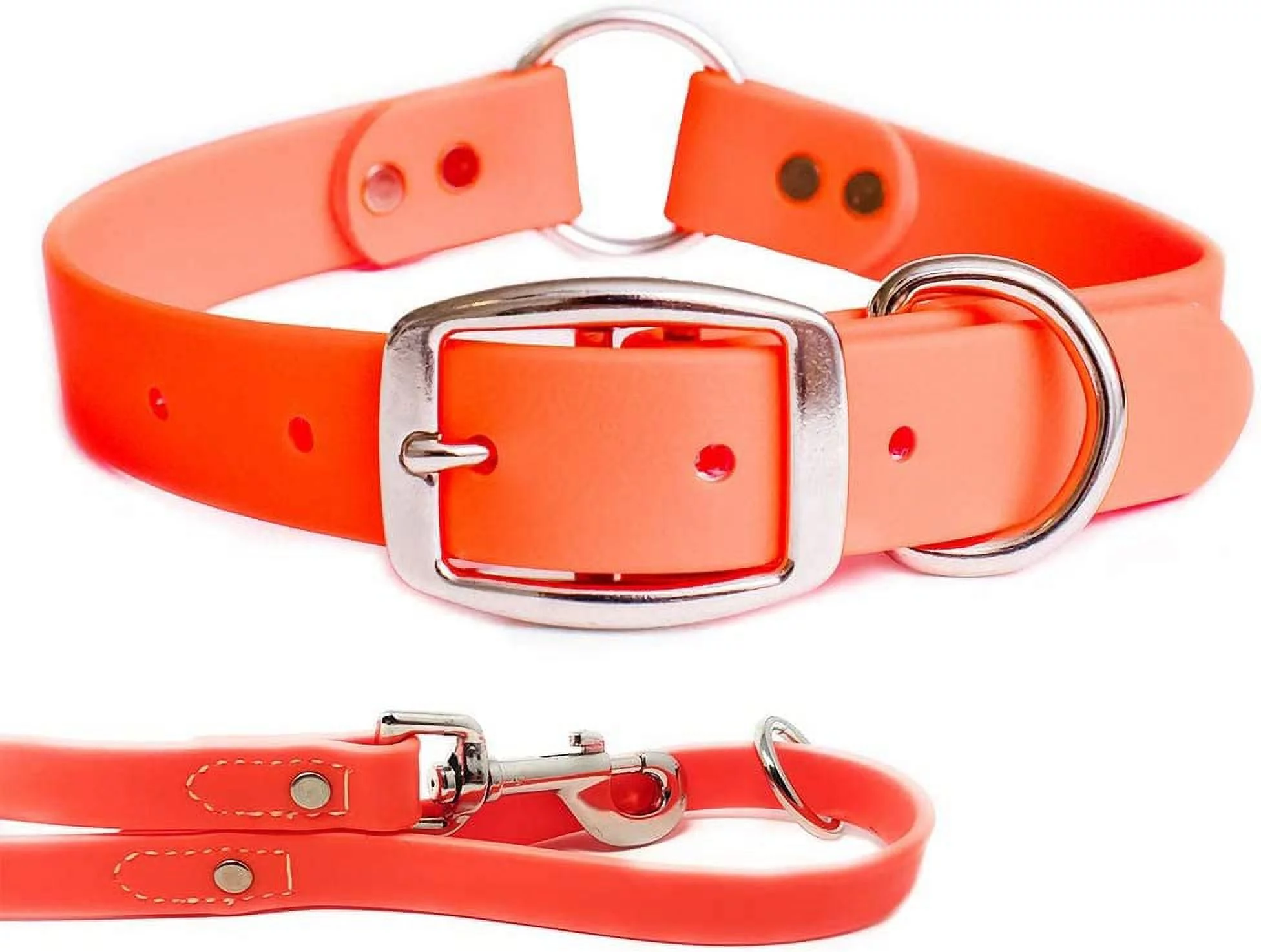 Regal Dog Products Dog Collar and Leash Set - Waterproof Biothane Dog Collar with Heavy Duty D Ring, Center Ring & 5'ft Leash for Training