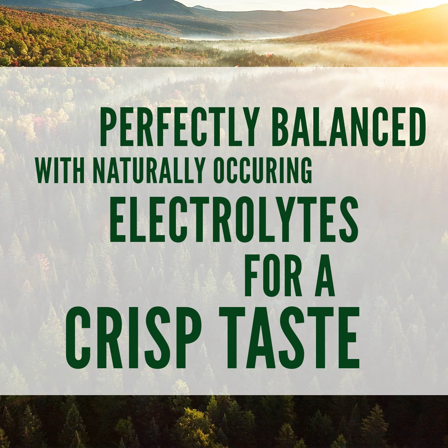 Poland Spring 100% Natural Spring Water, 33.8 Fl Oz, 15 Count Bottles