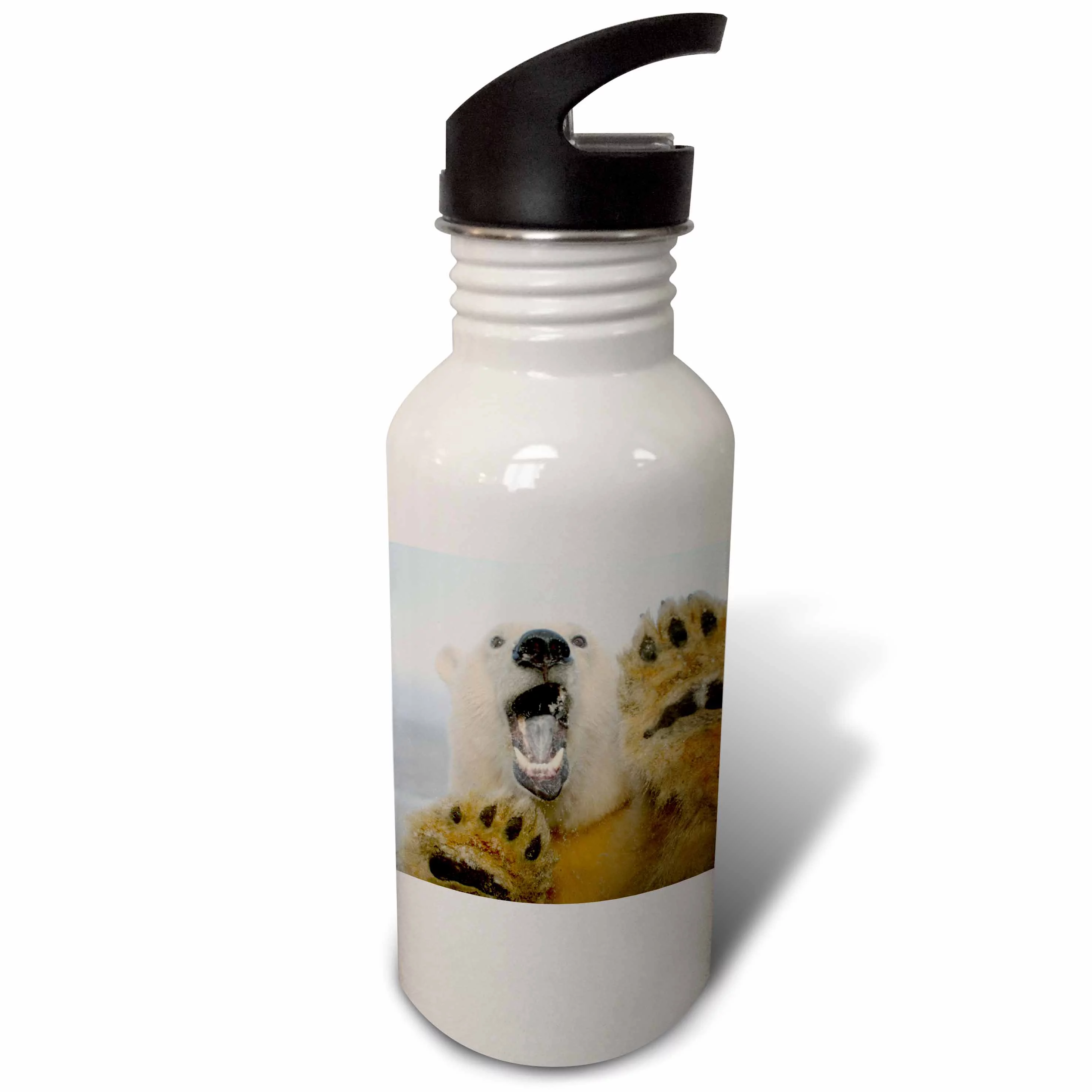 Polar bear Arctic National Wildlife Refuge Alaska - US02 SKA3847 - Steve Kazlowski 21 oz Sports Water Bottle wb-87717-1