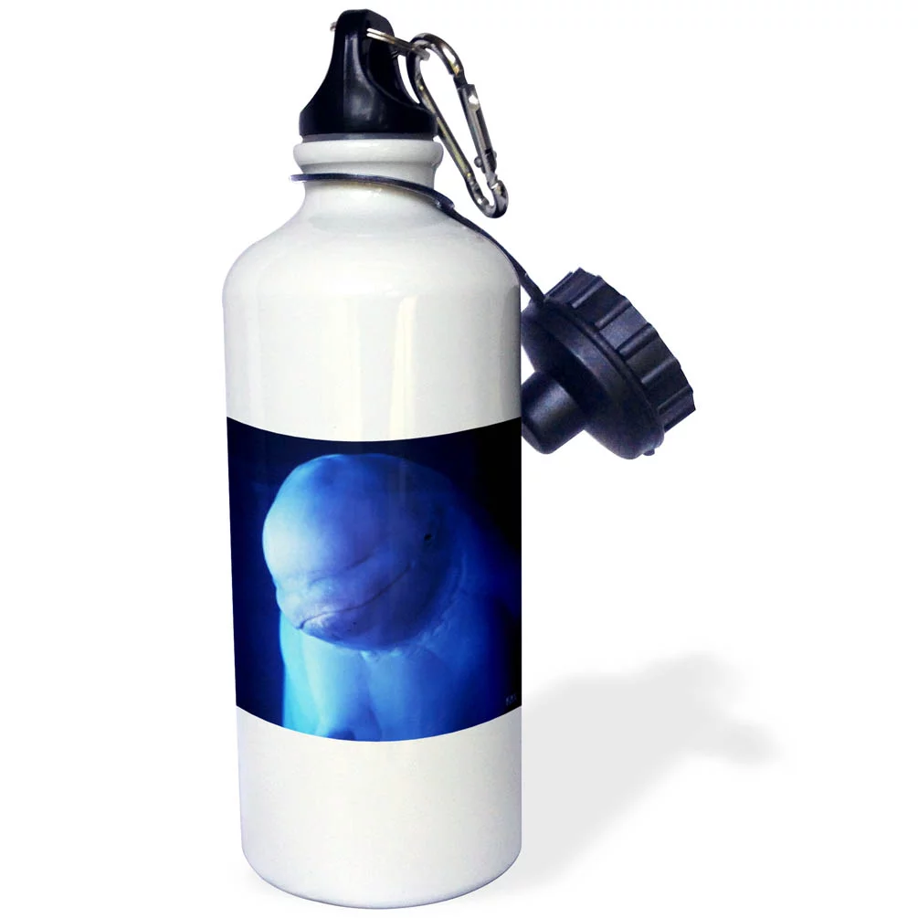 Beluga or White Whale, Delphinapterus leucas, Toothed, Sea canary Hudson Bay, Arctic 21 oz Sports Water Bottle wb-37653-1
