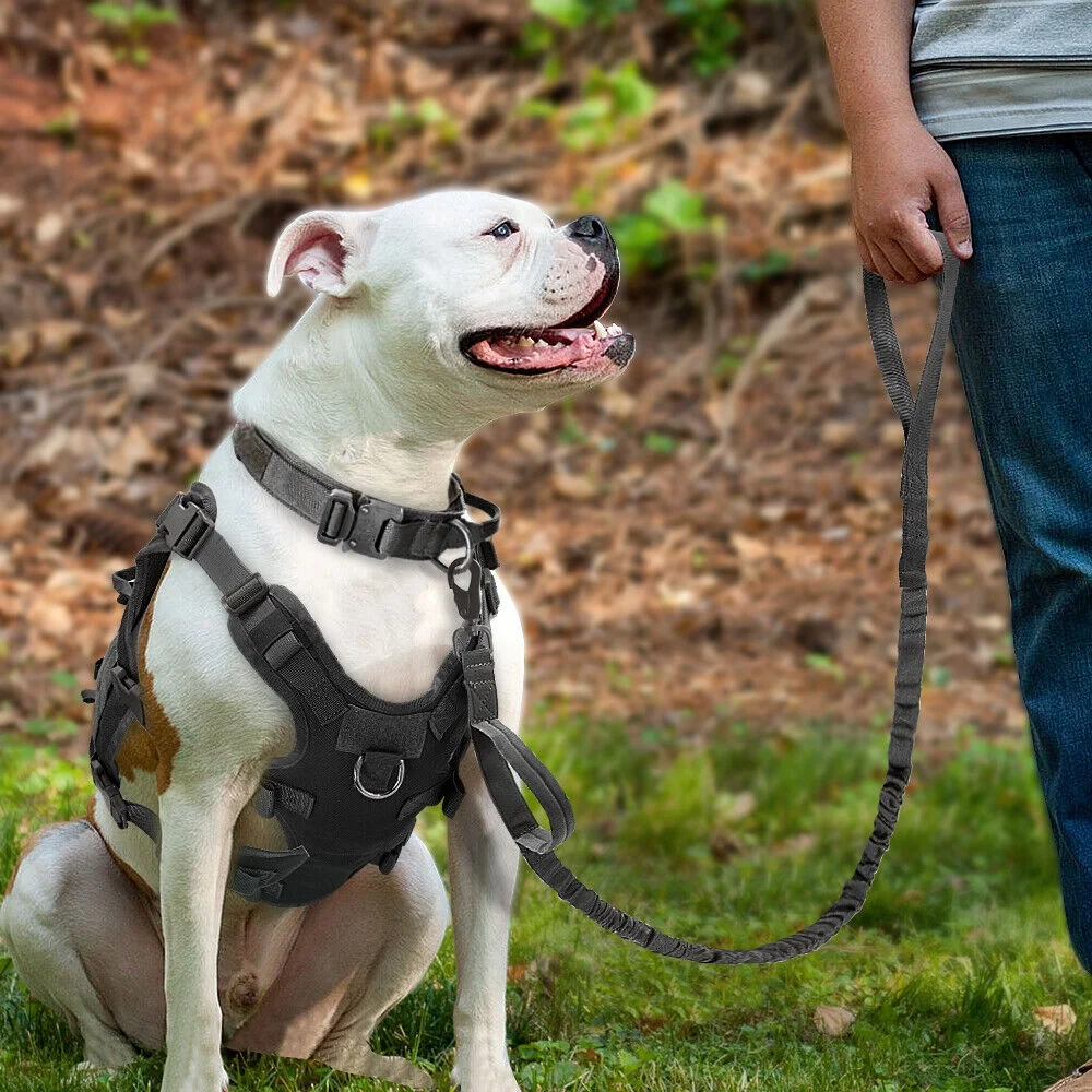 Tactical Dog Harness Collar and Leash Set Military Pet Training Vest with Handle