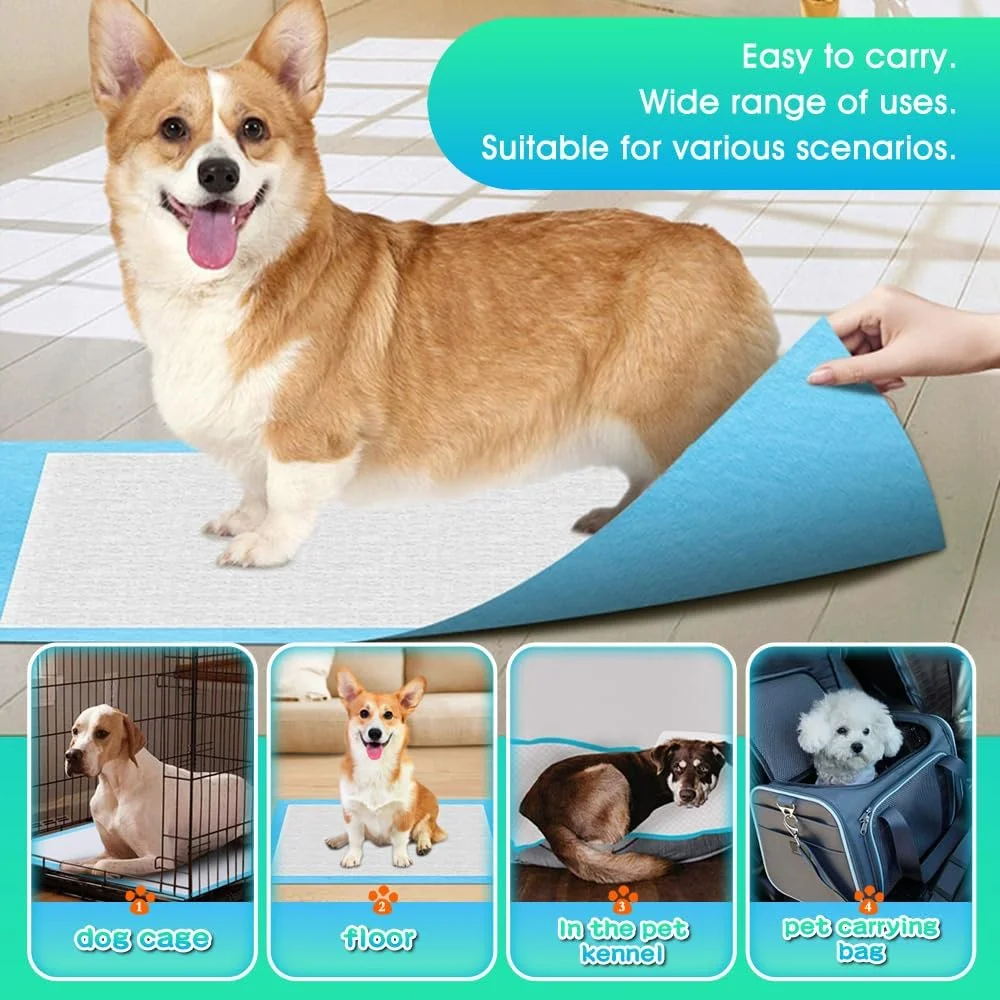 Dog and Puppy Training Pads, X-Large 30x36 inches 150 Count Dog Pee Potty 5-layer Training Pads