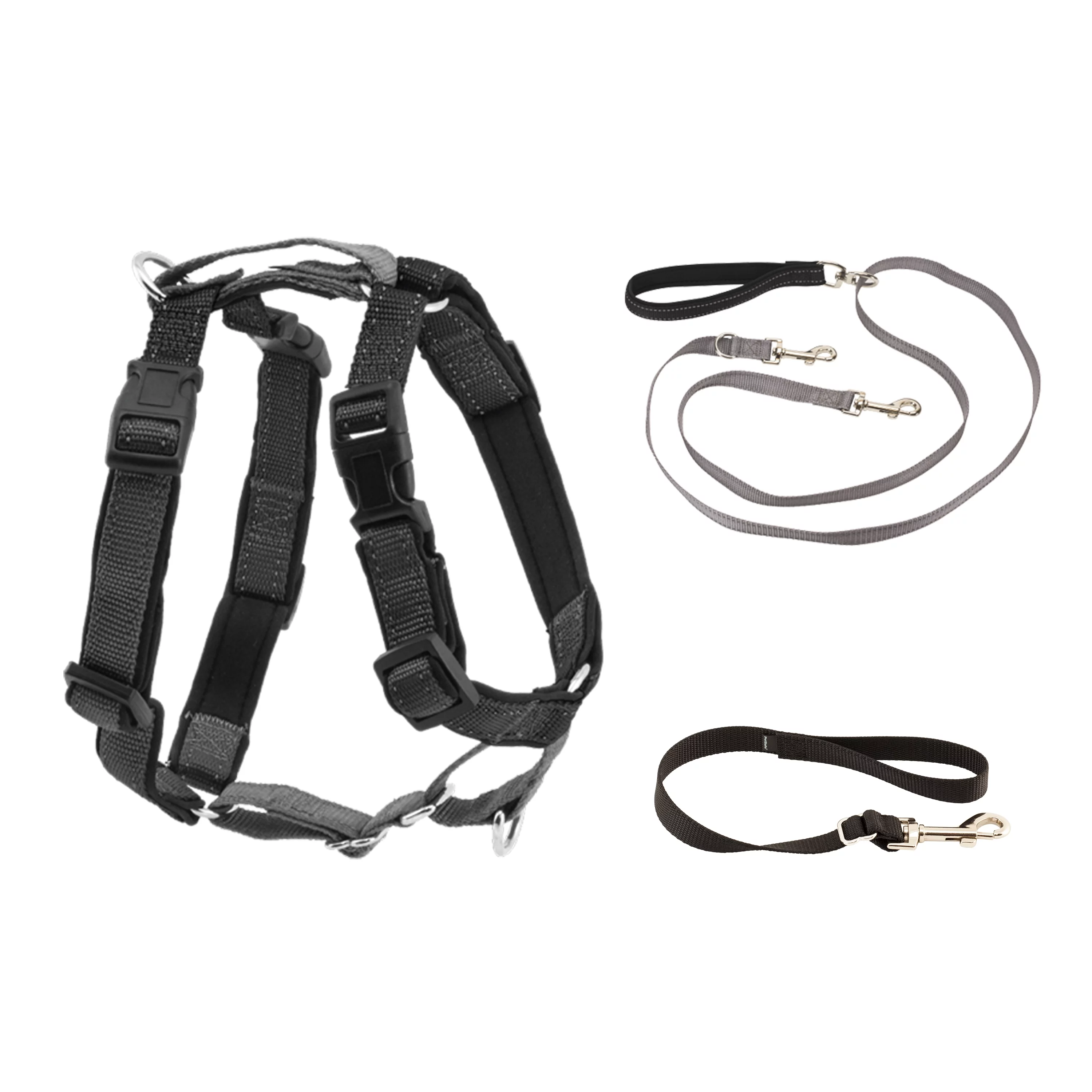 PetSafe 3 in 1 Harness with Two Point Control Leash, Large, Black