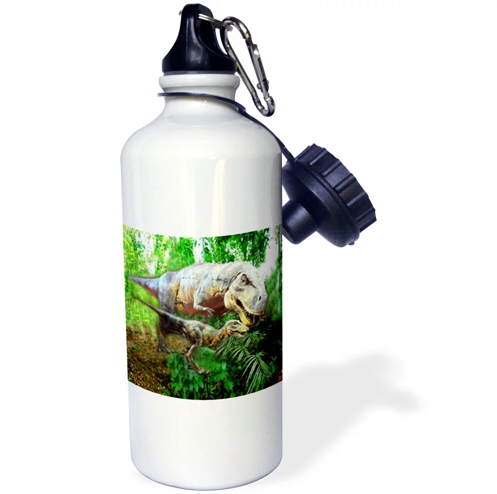 3dRose Dinosaurs, Sports Water Bottle, 21oz