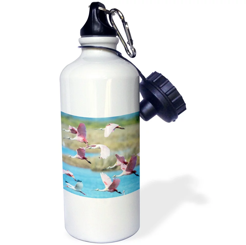 3dRose USA, Florida, Merritt Island, NWR, Roseate Spoonbills - Water Bottle, 21-ounce