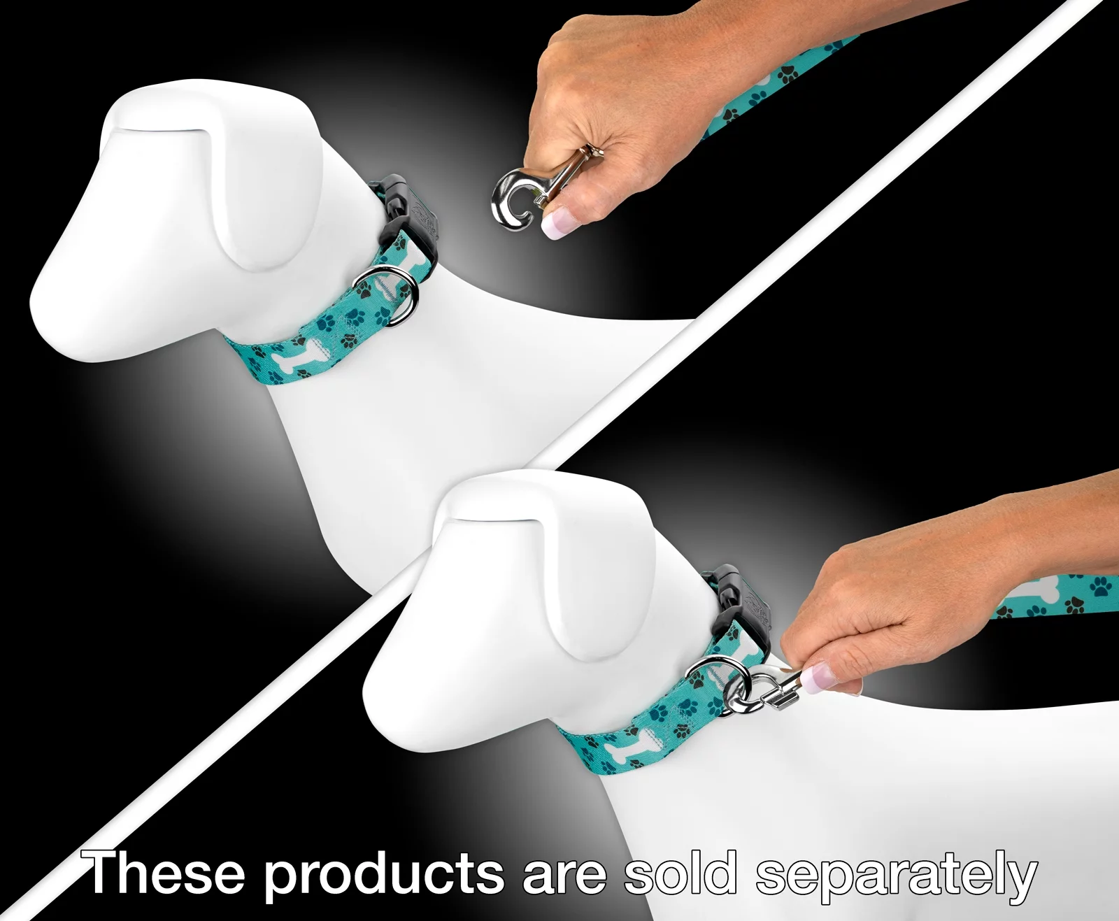 Country Brook Design - 1 inch Oh My Dog Leash, 6 Feet