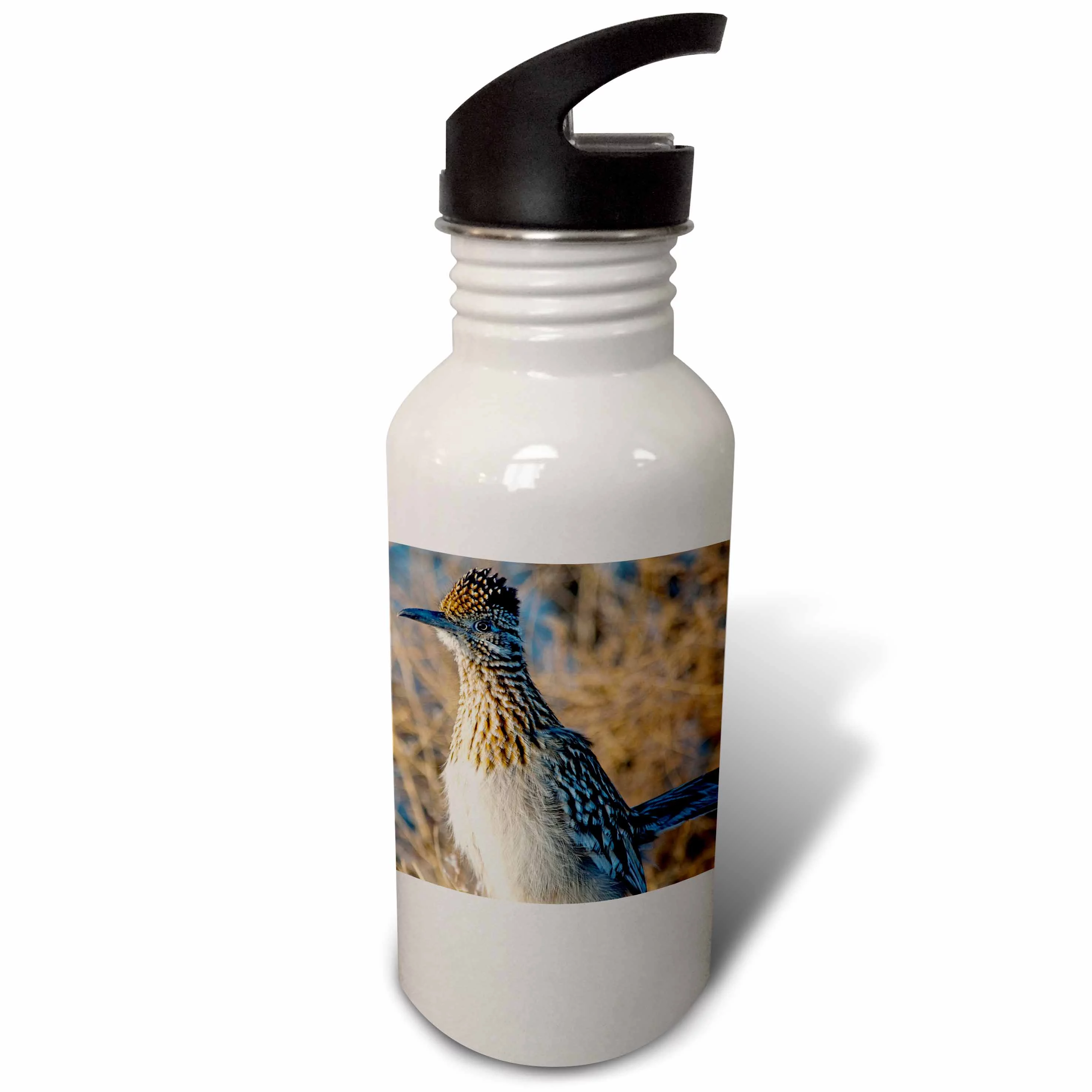 Roadrunner bird, Bosque del apache NWR, New Mexico - US32 CHA0044 - Chuck Haney 21 oz Sports Water Bottle wb-92596-1
