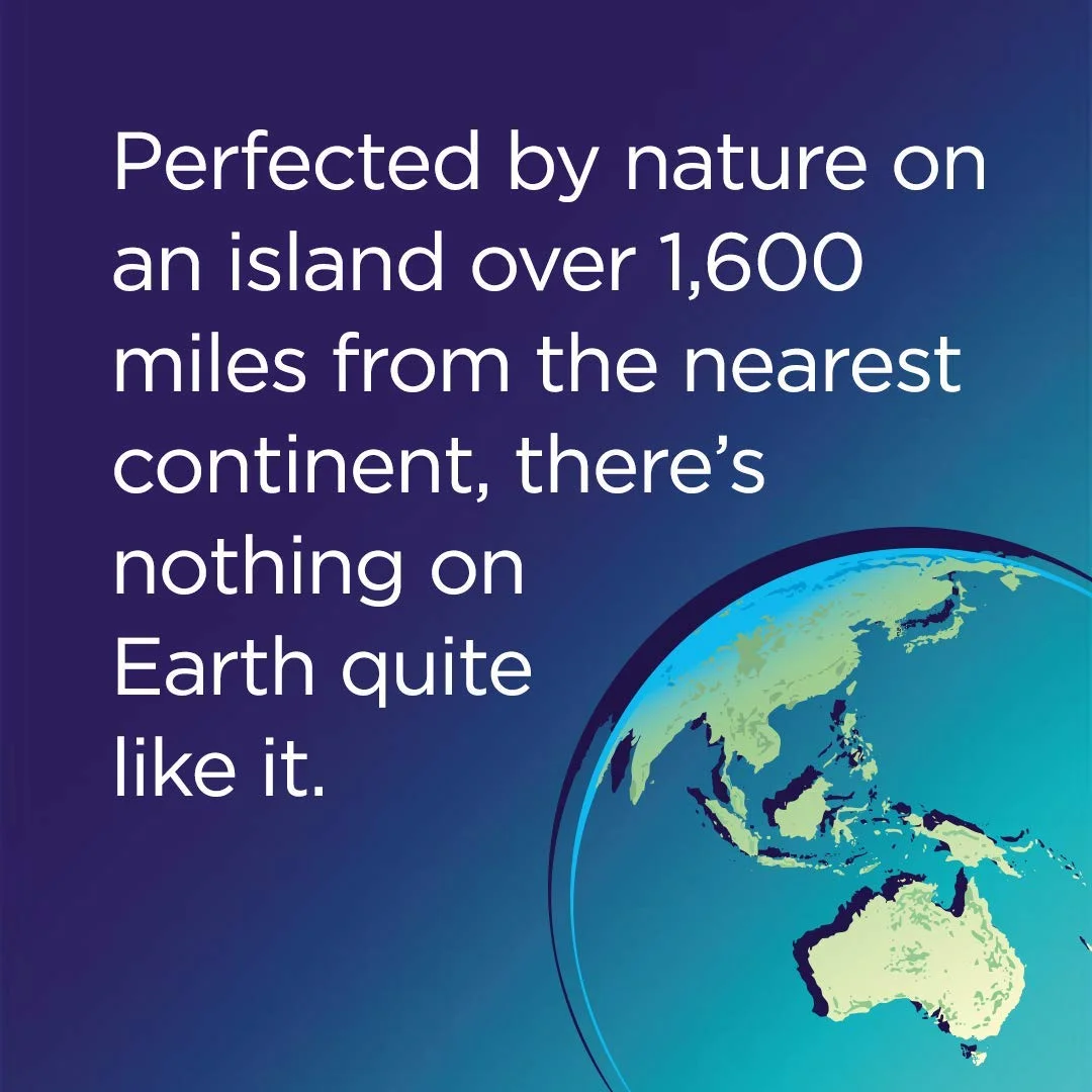 FIJI Natural Artesian Water (16.9 fl. oz., 24 pk.)