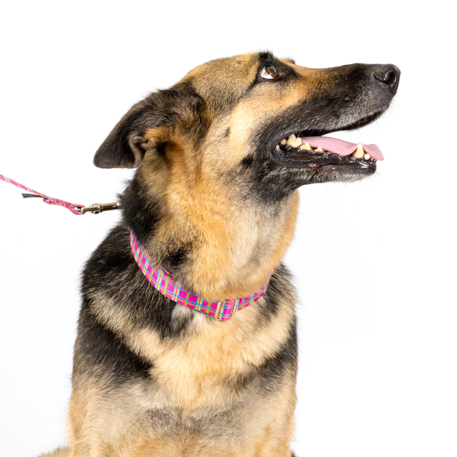 Country Brook Design - 1 inch Bubblegum Pink Plaid Dog Leash - 6 feet