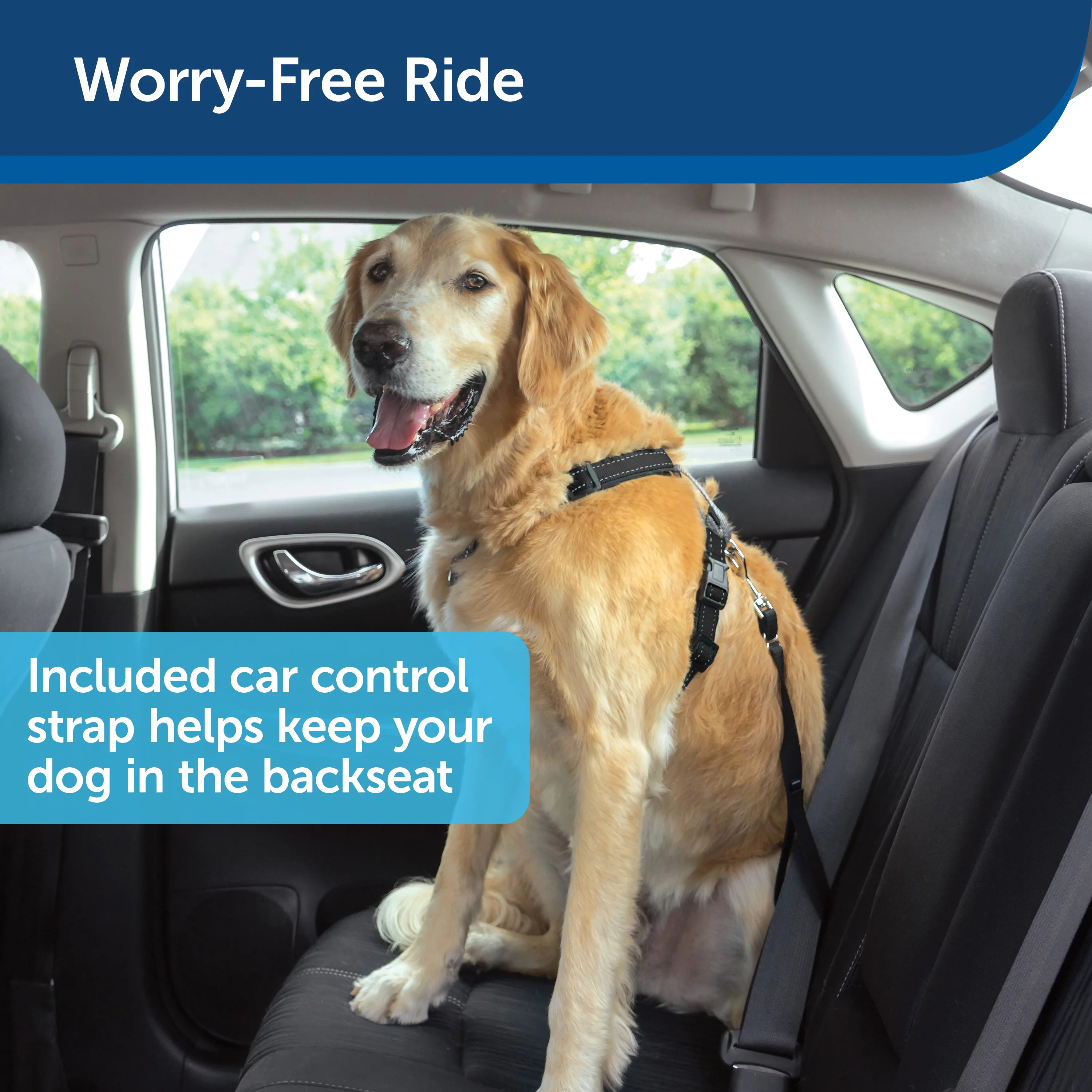 PetSafe 3 in 1 Harness with Two Point Control Leash, Large, Black