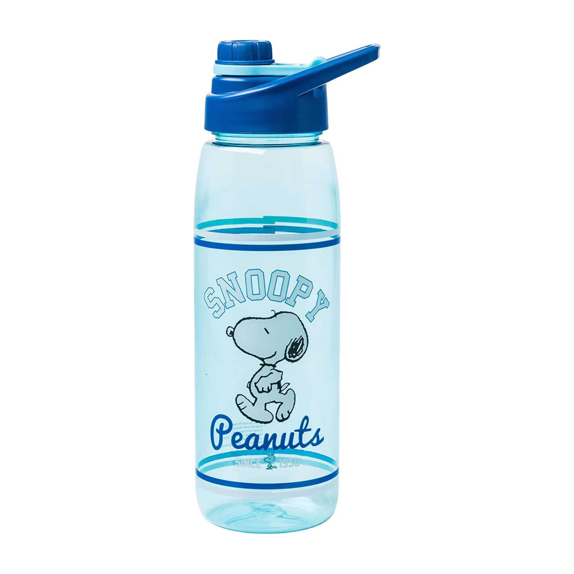 Peanuts Snoopy 28oz Water Bottle With Screw Lid