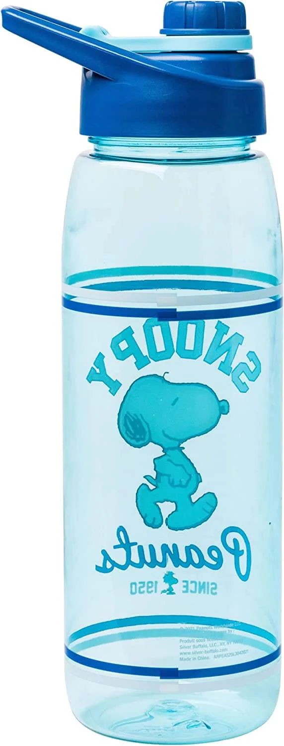 Peanuts Snoopy 28oz Water Bottle With Screw Lid