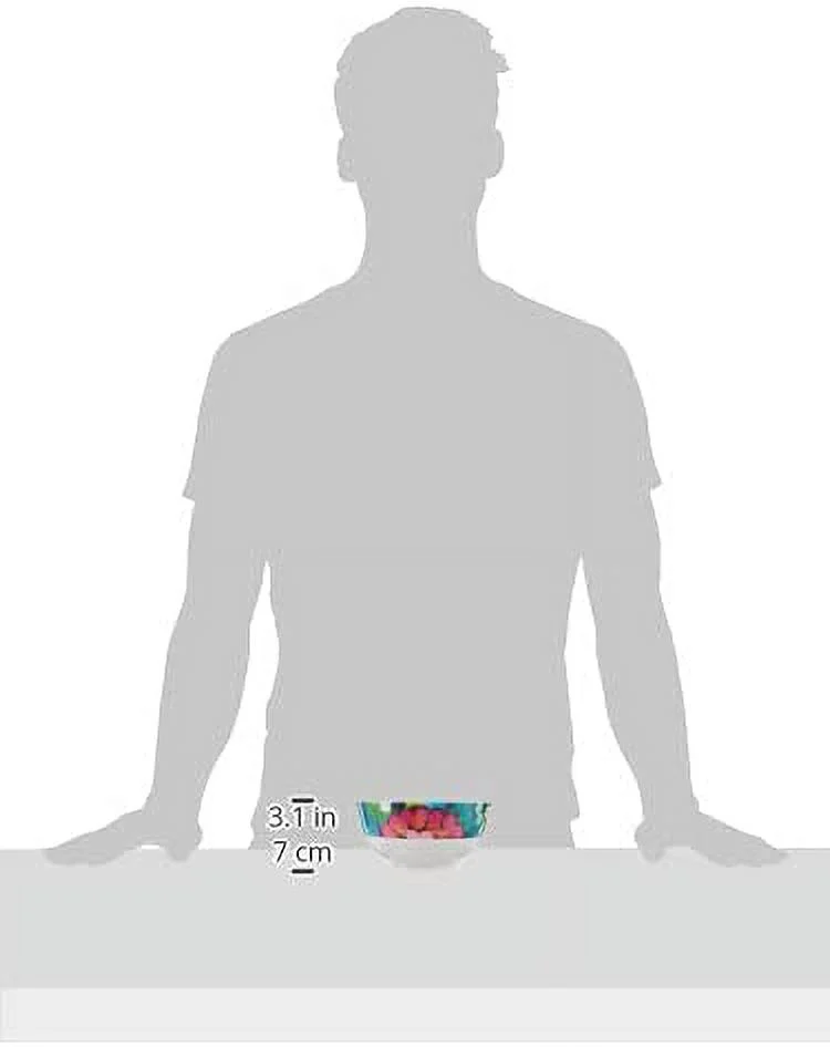 French Bull Melamine Cereal Bowls, Small Serving Bowl -Snack Pasta Salad Rice Soup Oatmeal- Shatterproof, BPA Free, Dishwasher Safe, 5.5 , 26 Fluid Ounces, Bindi, 4-Piece Set Bindi 5