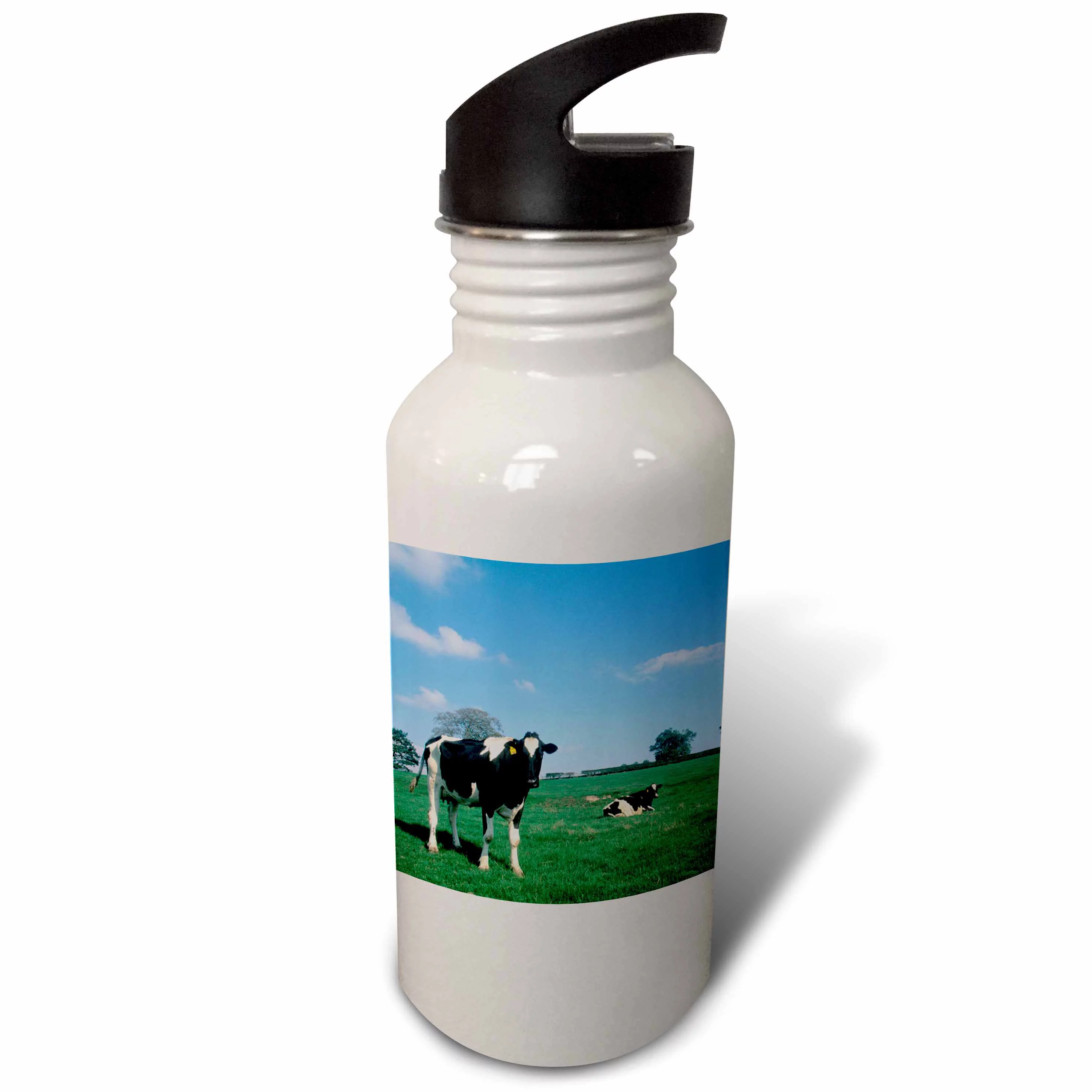 Irish farmland with cows near Dublin Ireland - EU15 BBA0027 - Bill Bachmann 21 oz Sports Water Bottle wb-81960-1