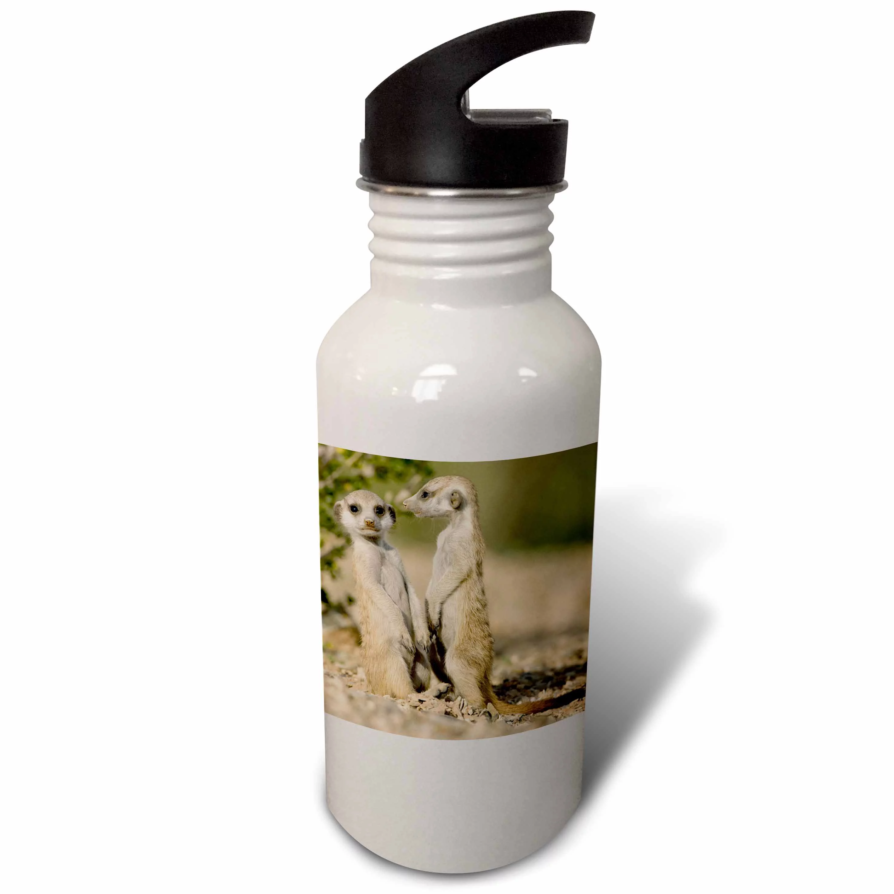Namibia, Keetmanshoop, Meerkat, Namib Desert, mongoose-AF31 PSO0159 - Paul Souders 21 oz Sports Water Bottle wb-73467-1