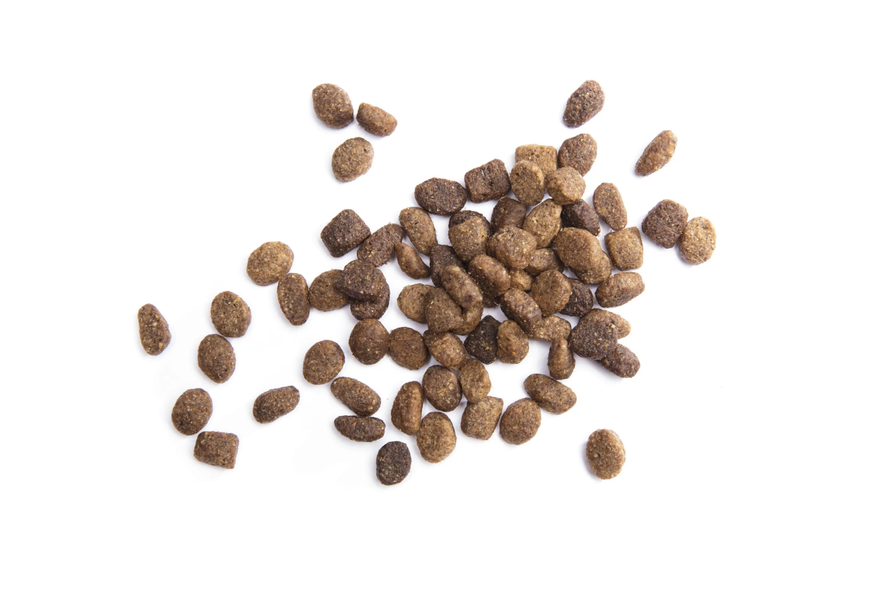 Iams Proactive Health Minichunks Adult Small Kibble Dry Dog Food With Real Chicken, 3.3 Lb. Bag