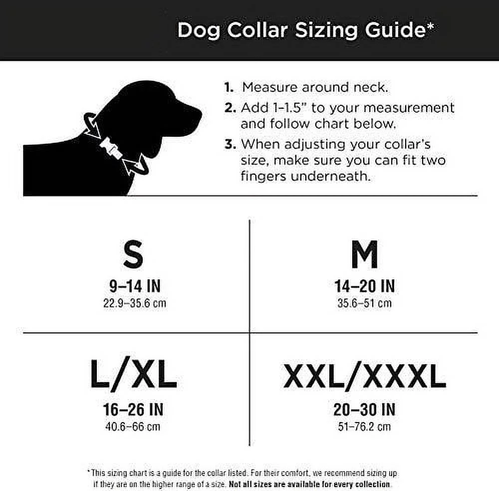 reddy brown leather dog collar, small by petco