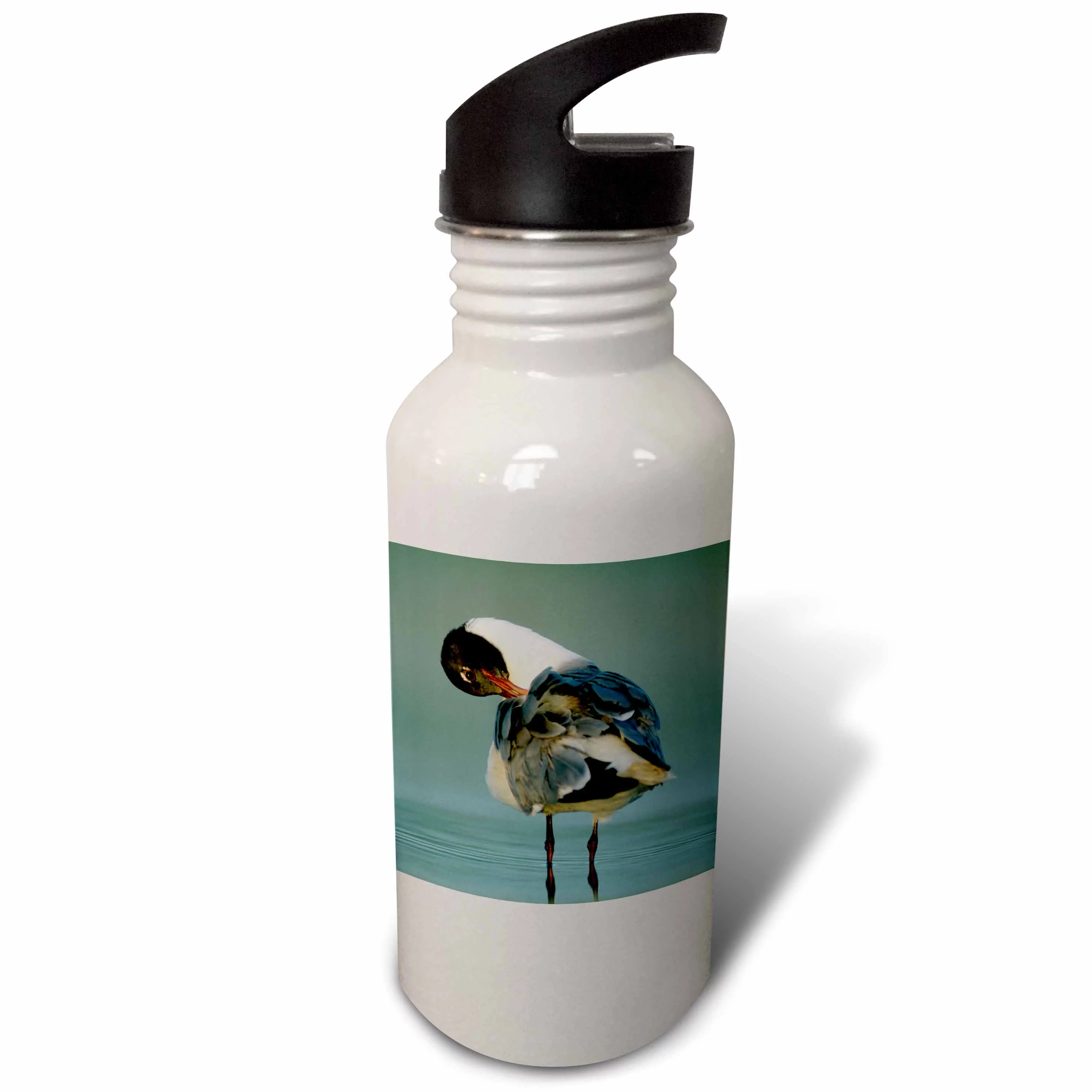 Laughing Gull bird, Welder Wildlife Refuge, Texas - NA02 RNU0652 - Rolf Nussbaumer 21 oz Sports Water Bottle wb-84533-1