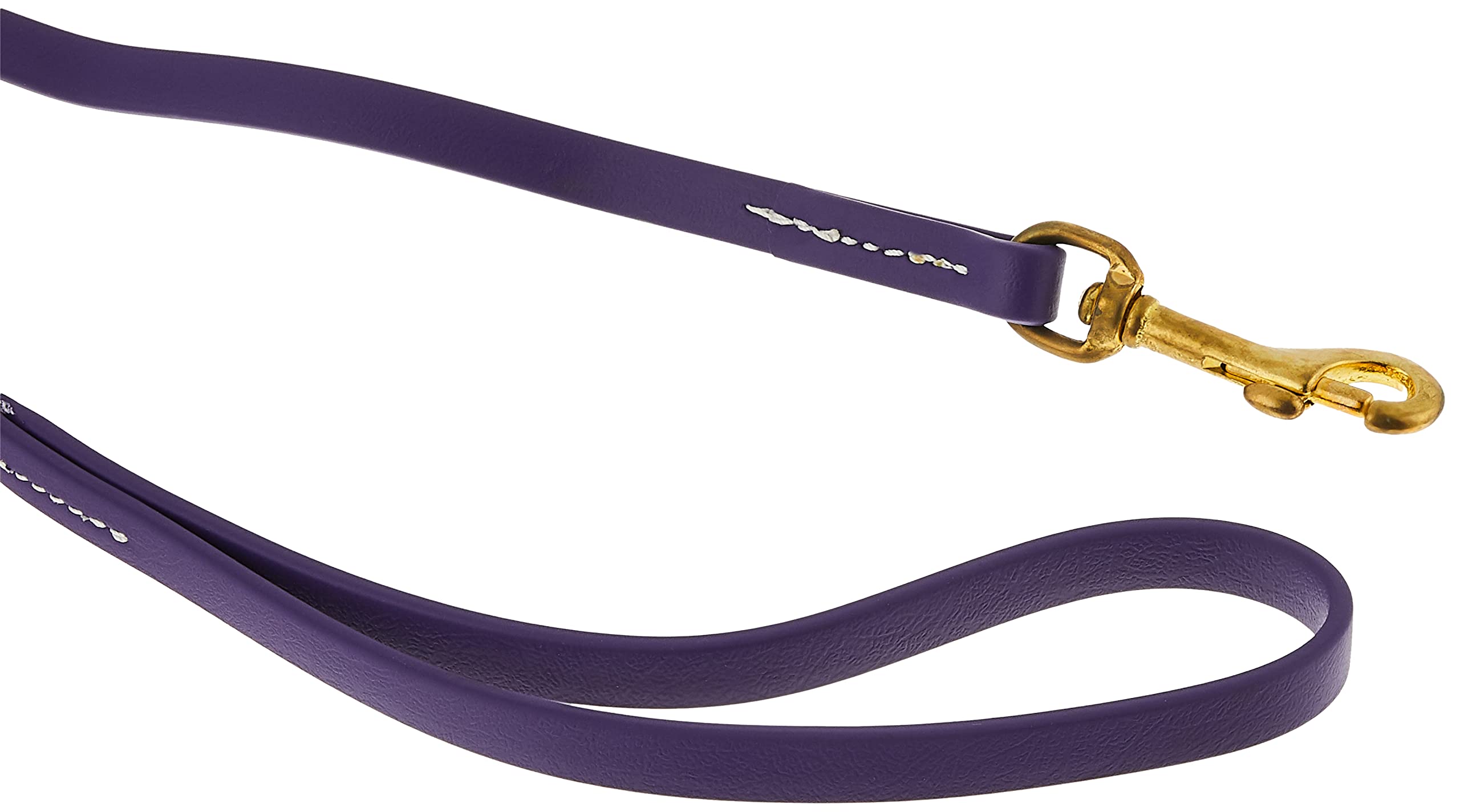 J&J Dog Supplies Biothane Dog Leash, 1/2
