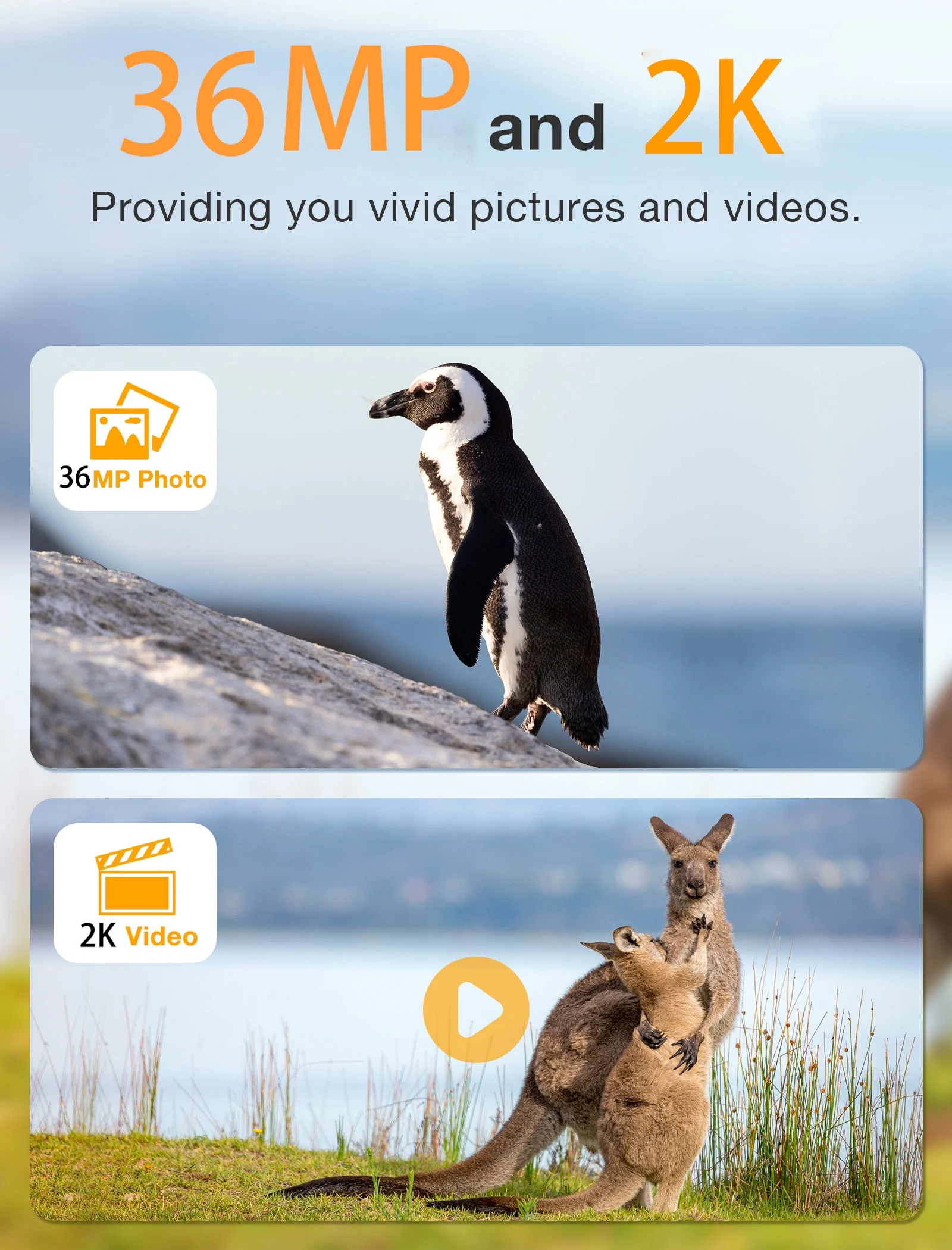 CAMPARK 2 Pack Trail Camera 36MP 2K Hunting Deer Game Camera with Infrared Night Vision Waterproof 120° Angle-Wide 2.0