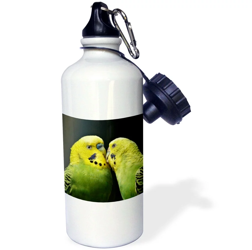 3dRose Lovely Budgies in the Free Nature Parrot Animal - Water Bottle, 21-ounce